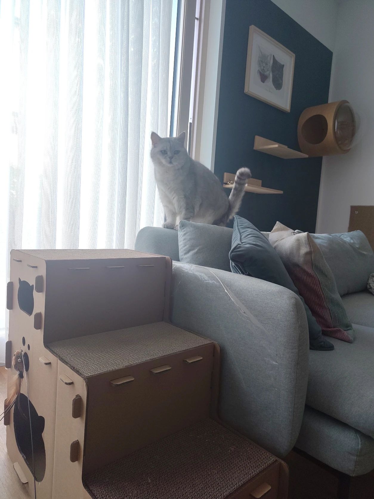 image-4