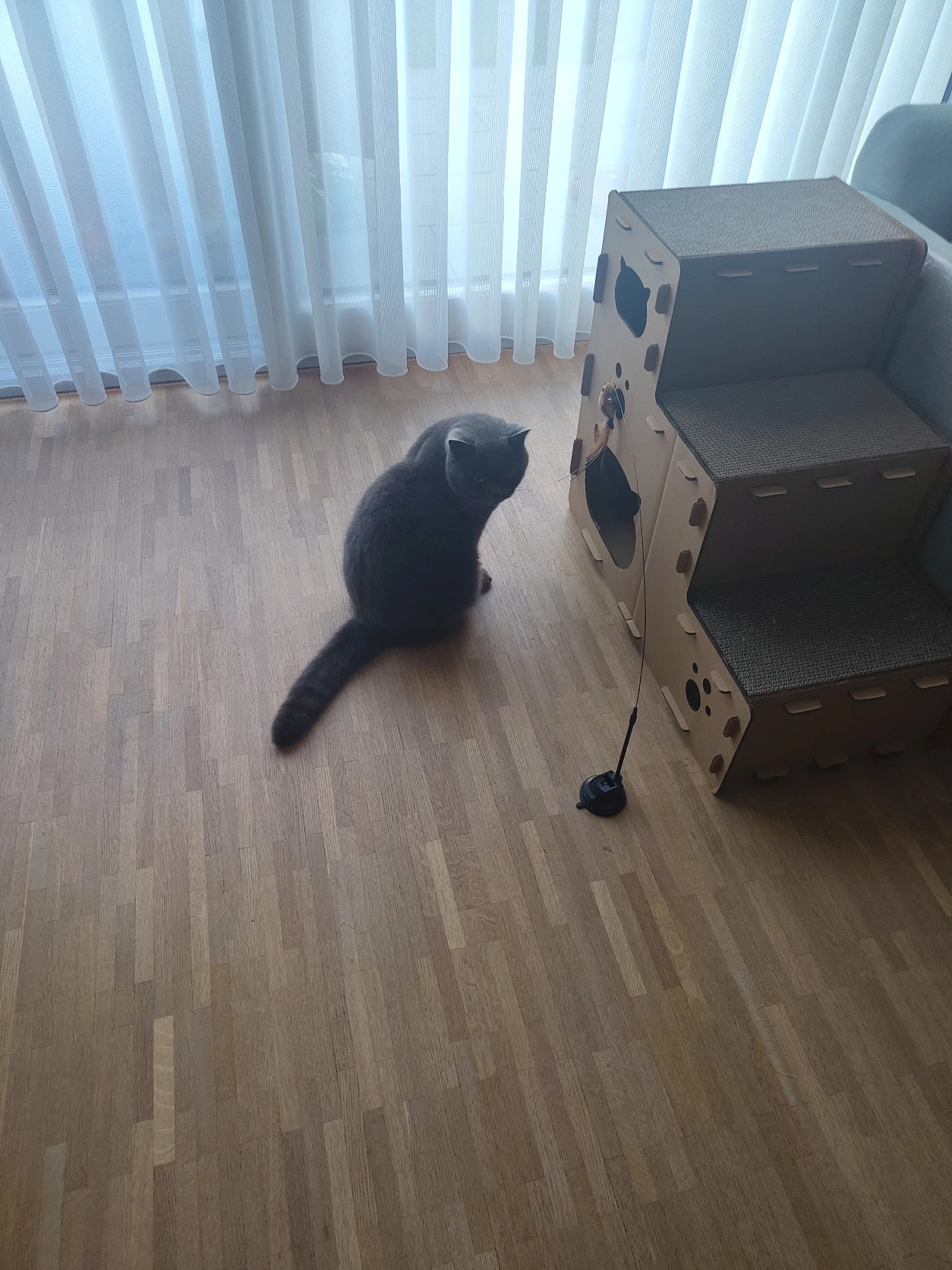 image-6