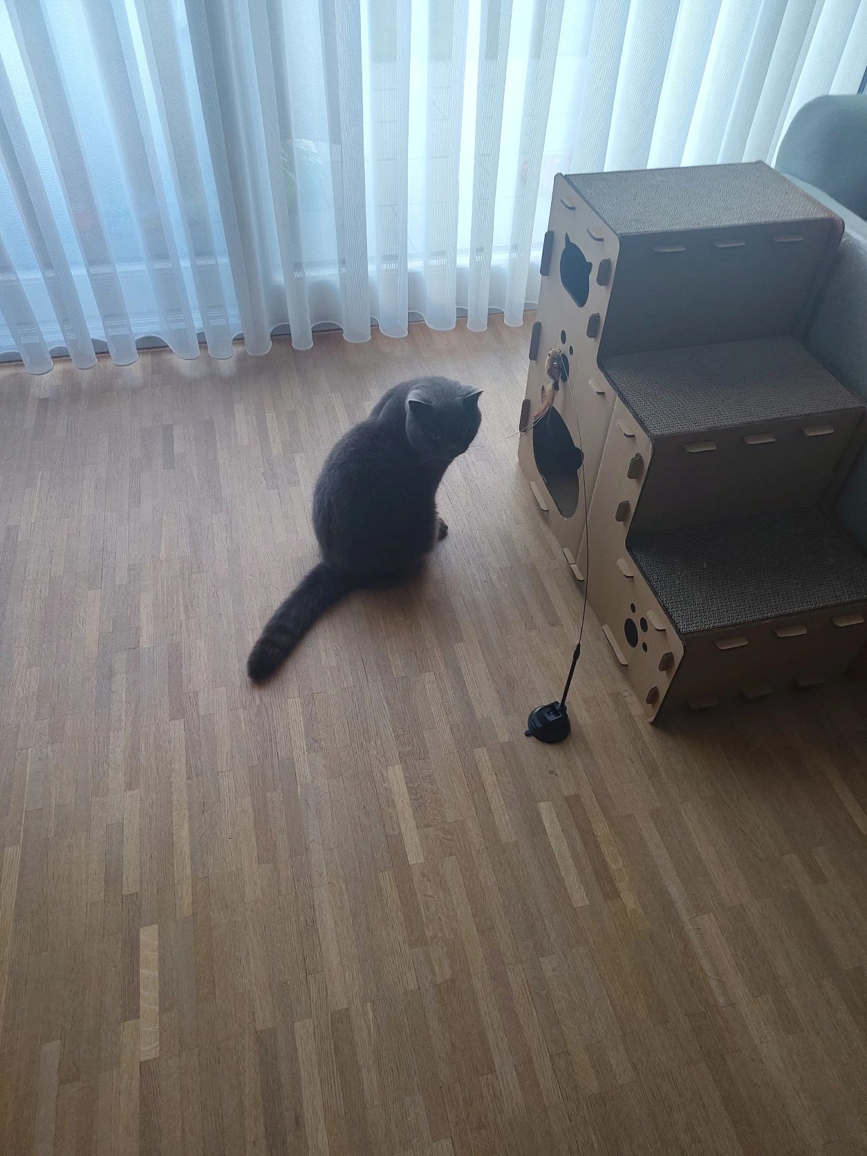 image-6