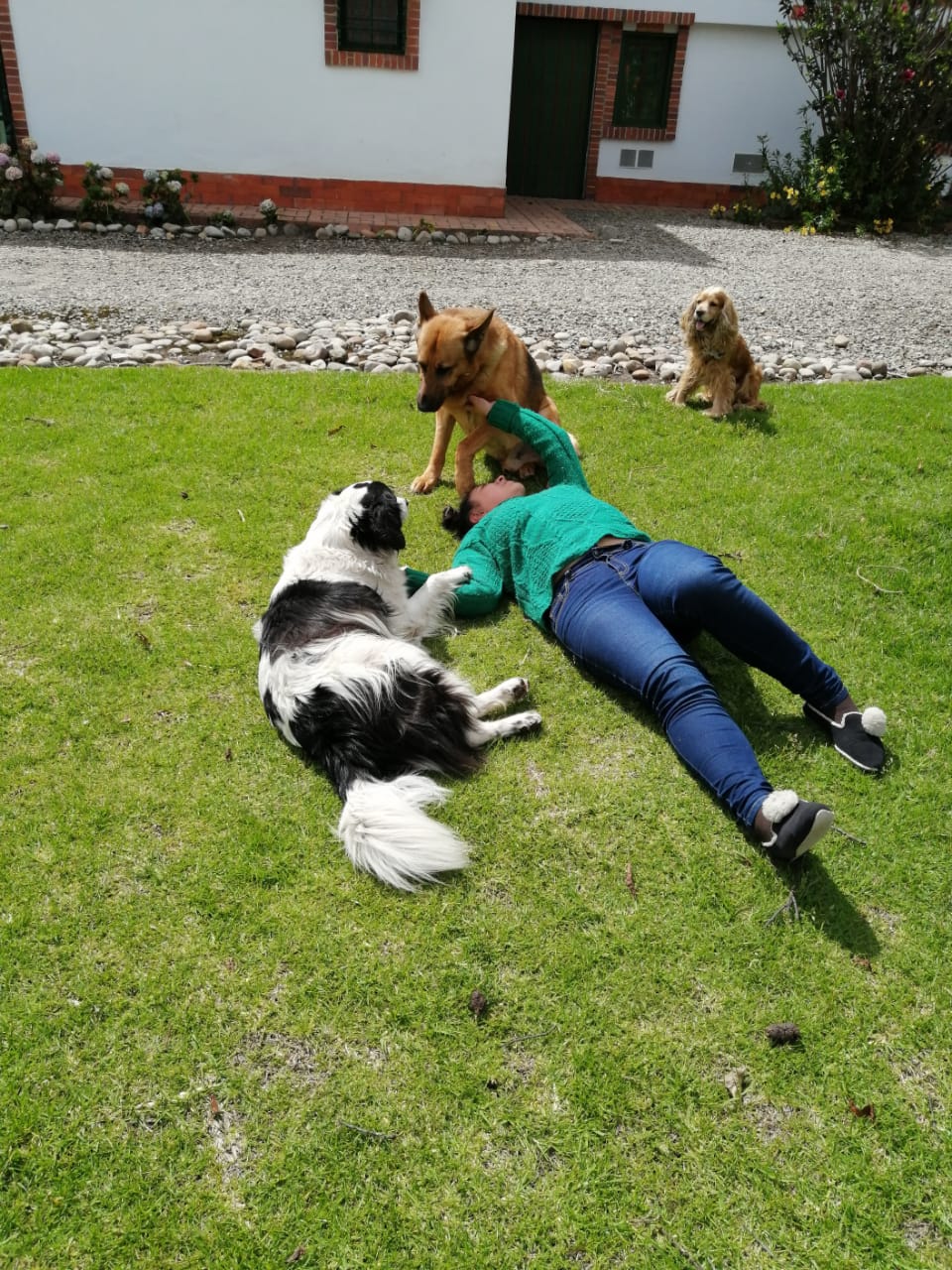 image-7