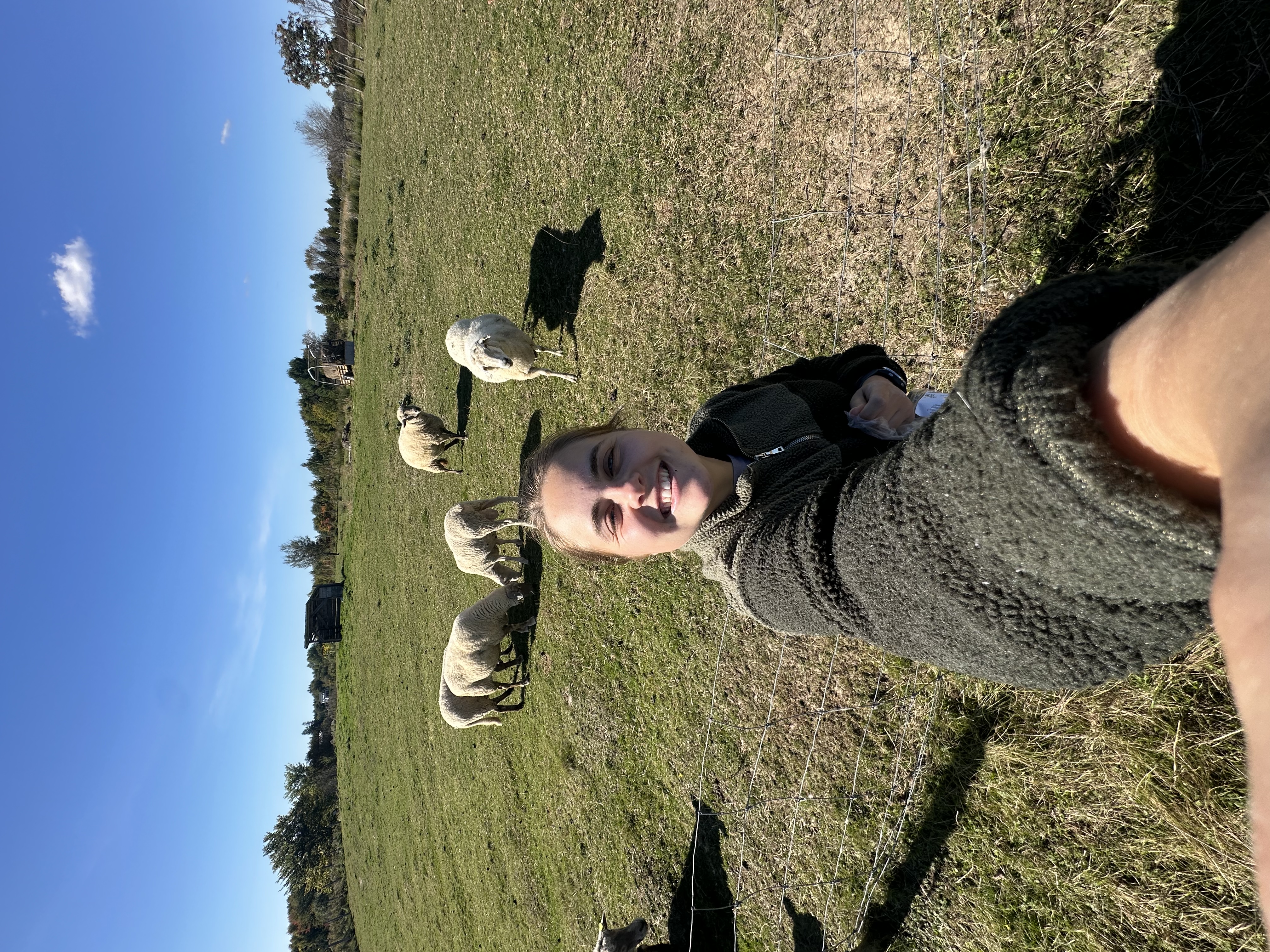 image-6
