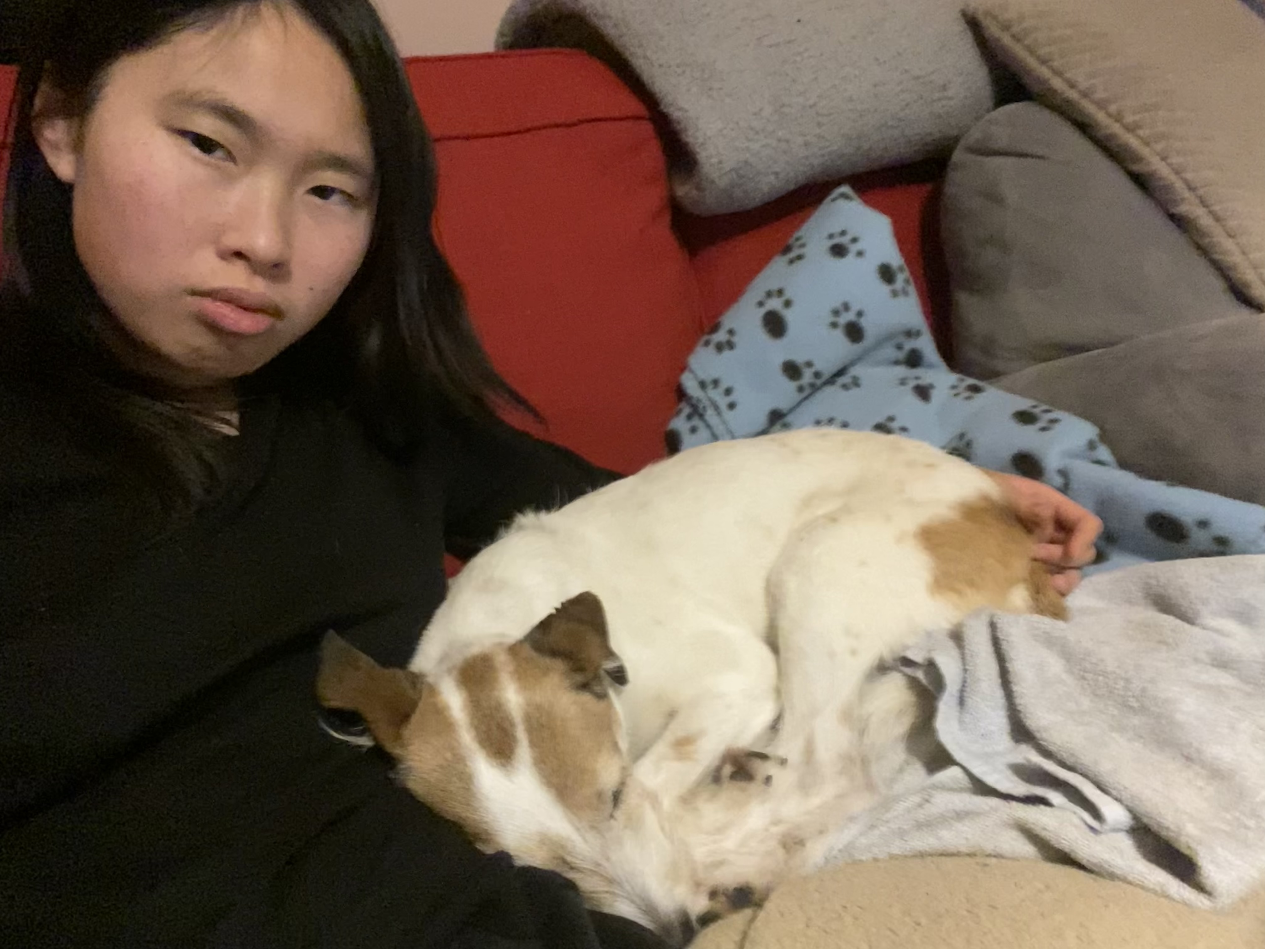 image-10