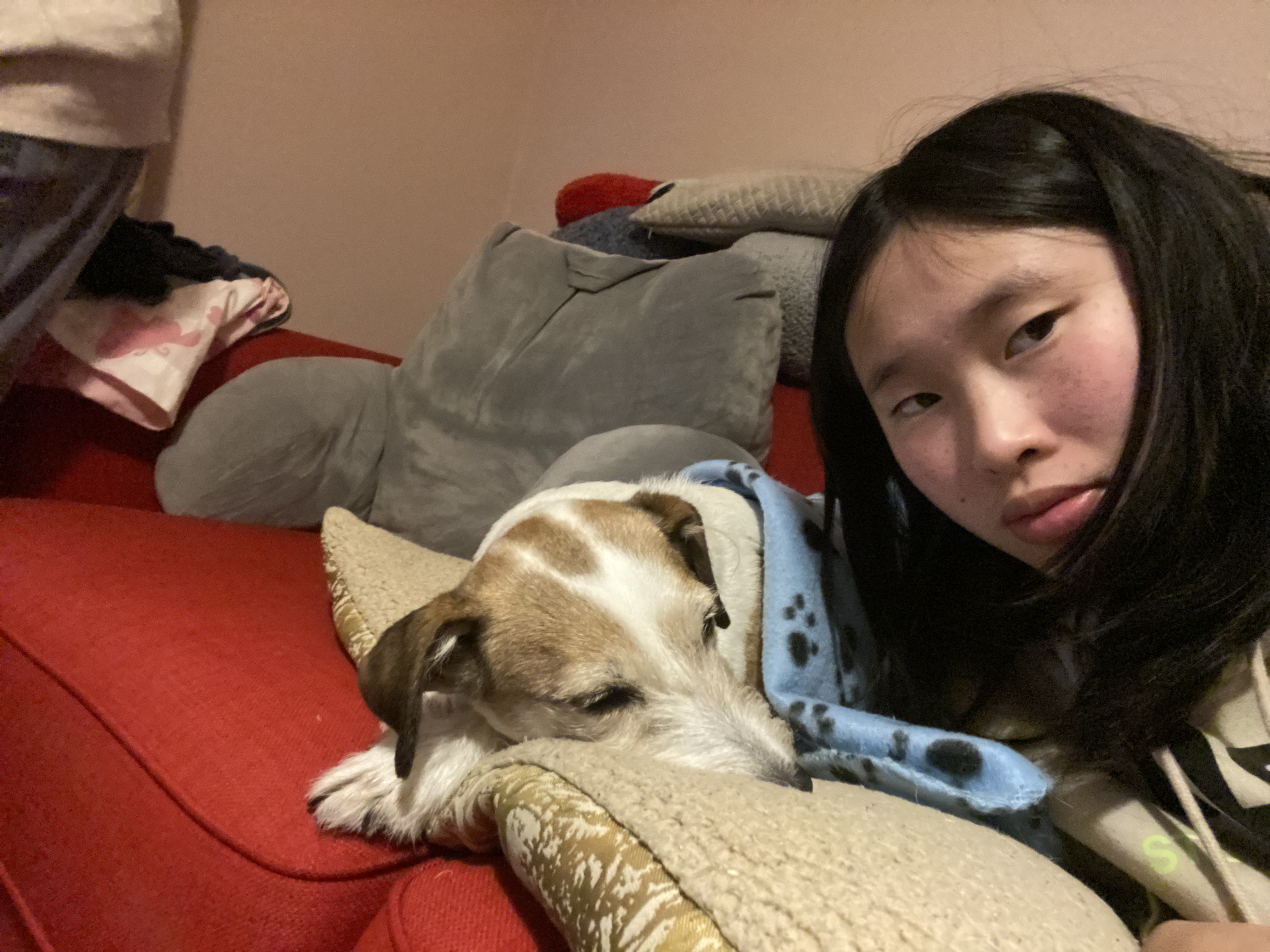 image-6
