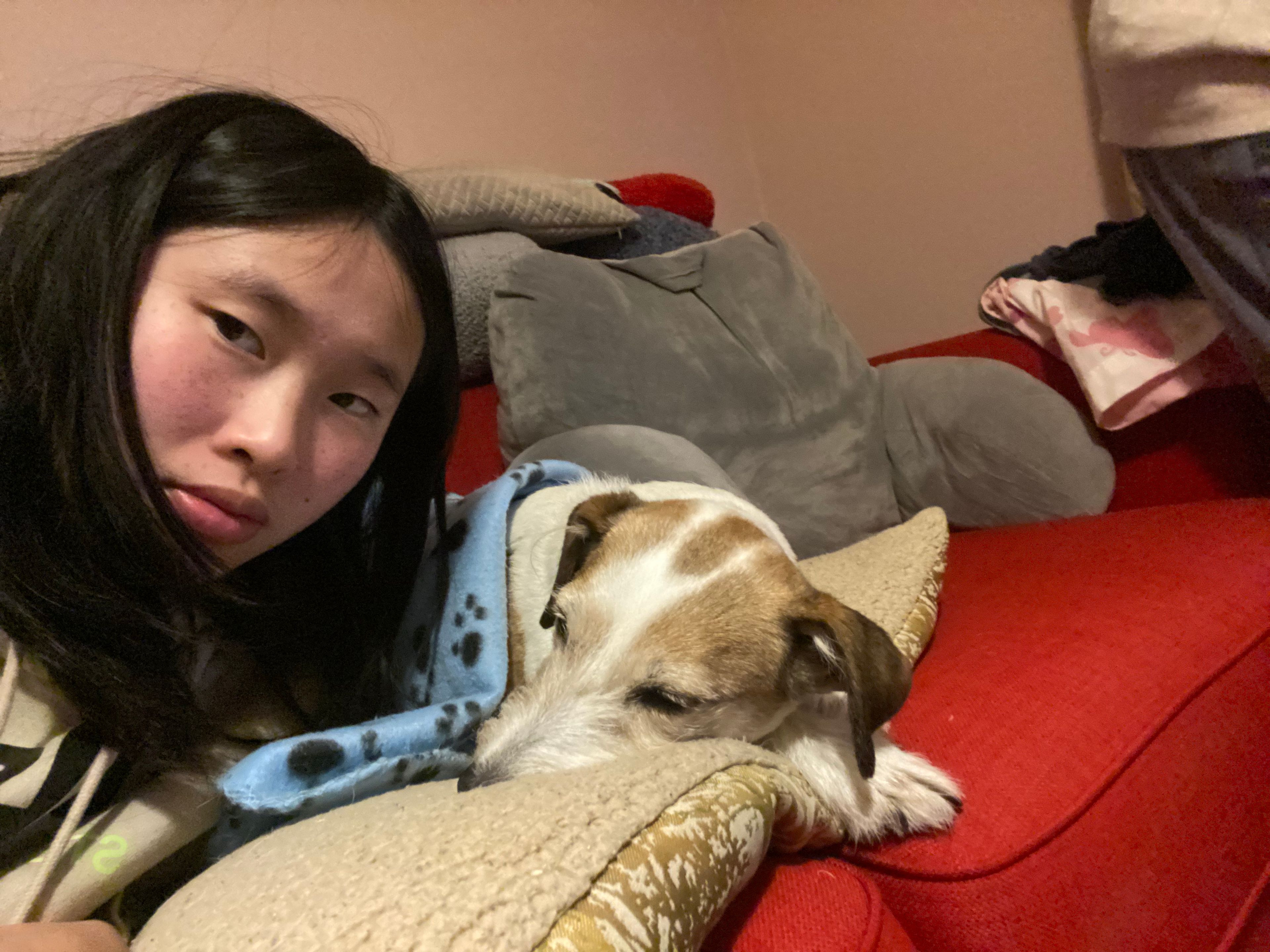 image-6
