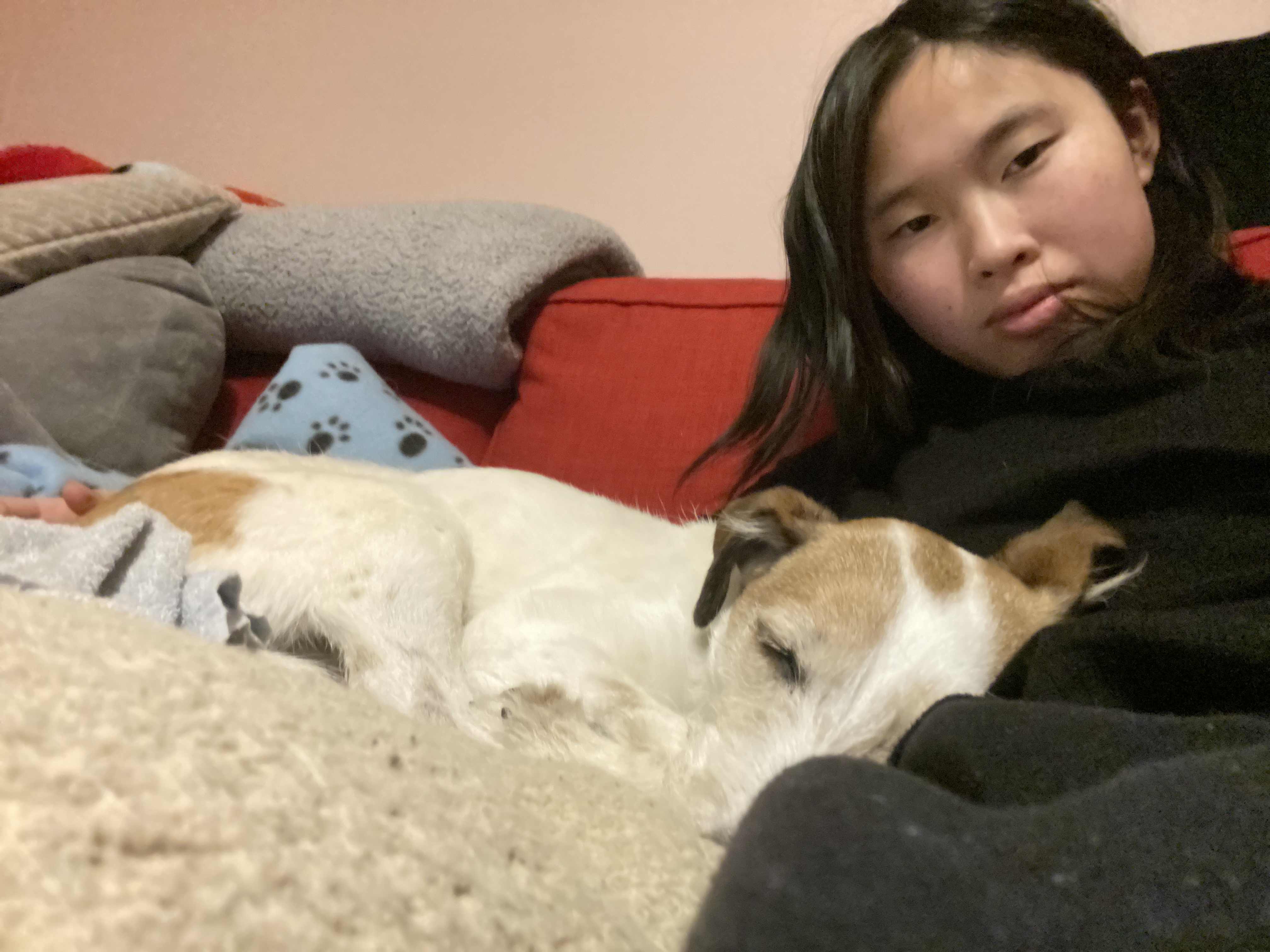 image-8