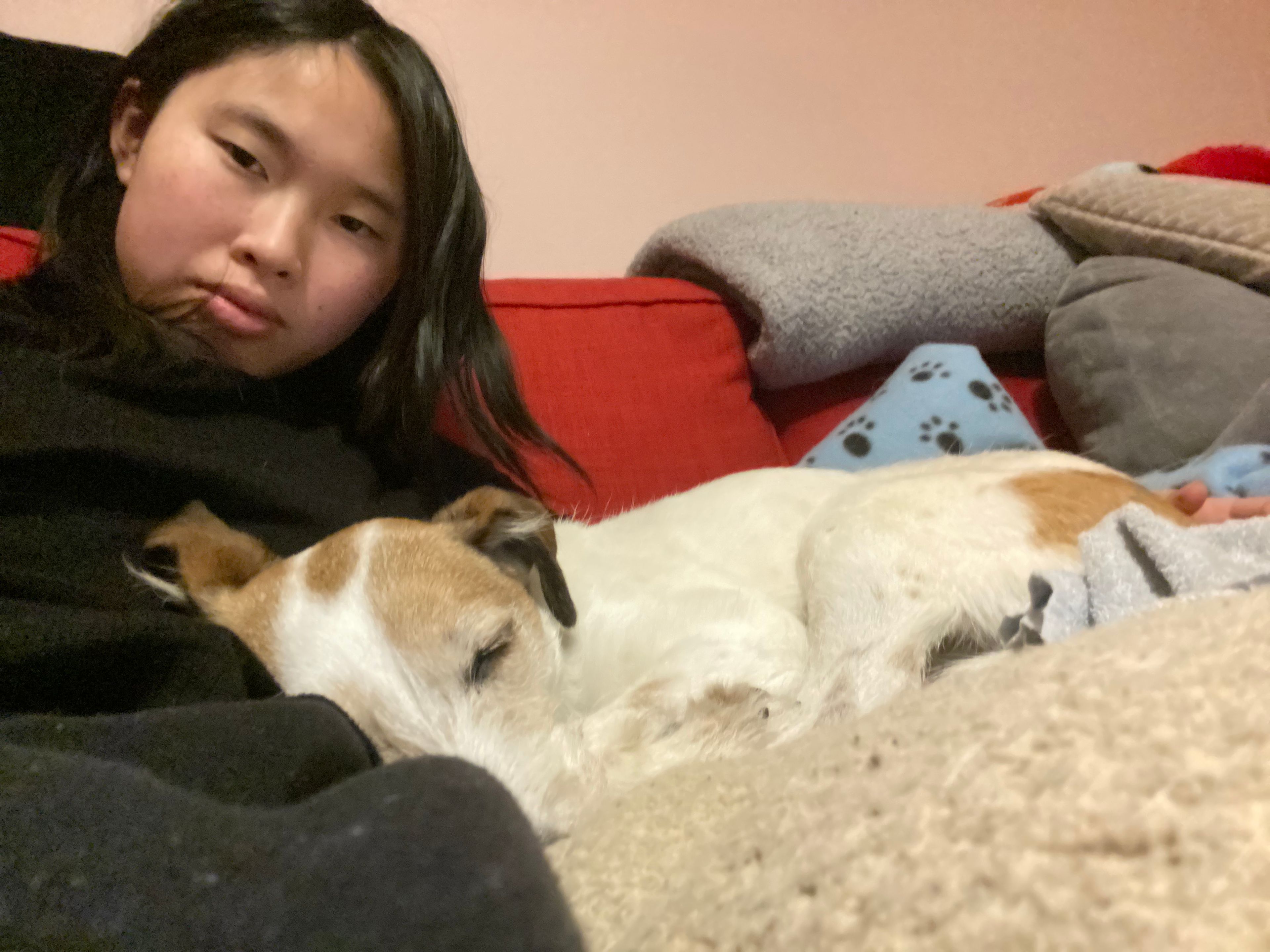 image-8