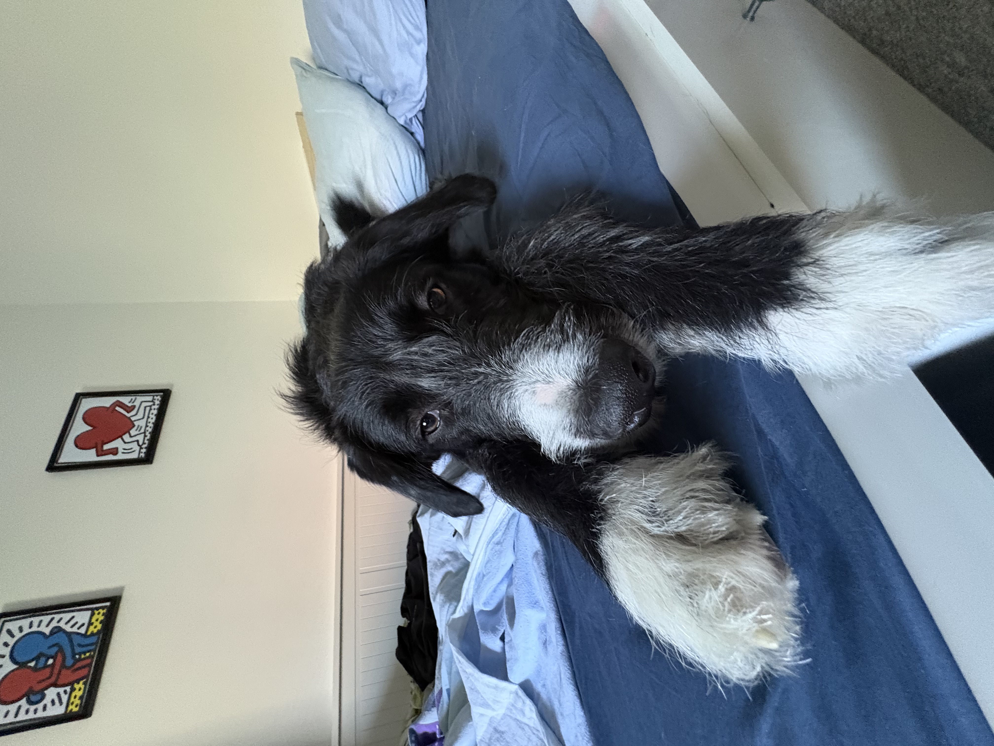 image-18