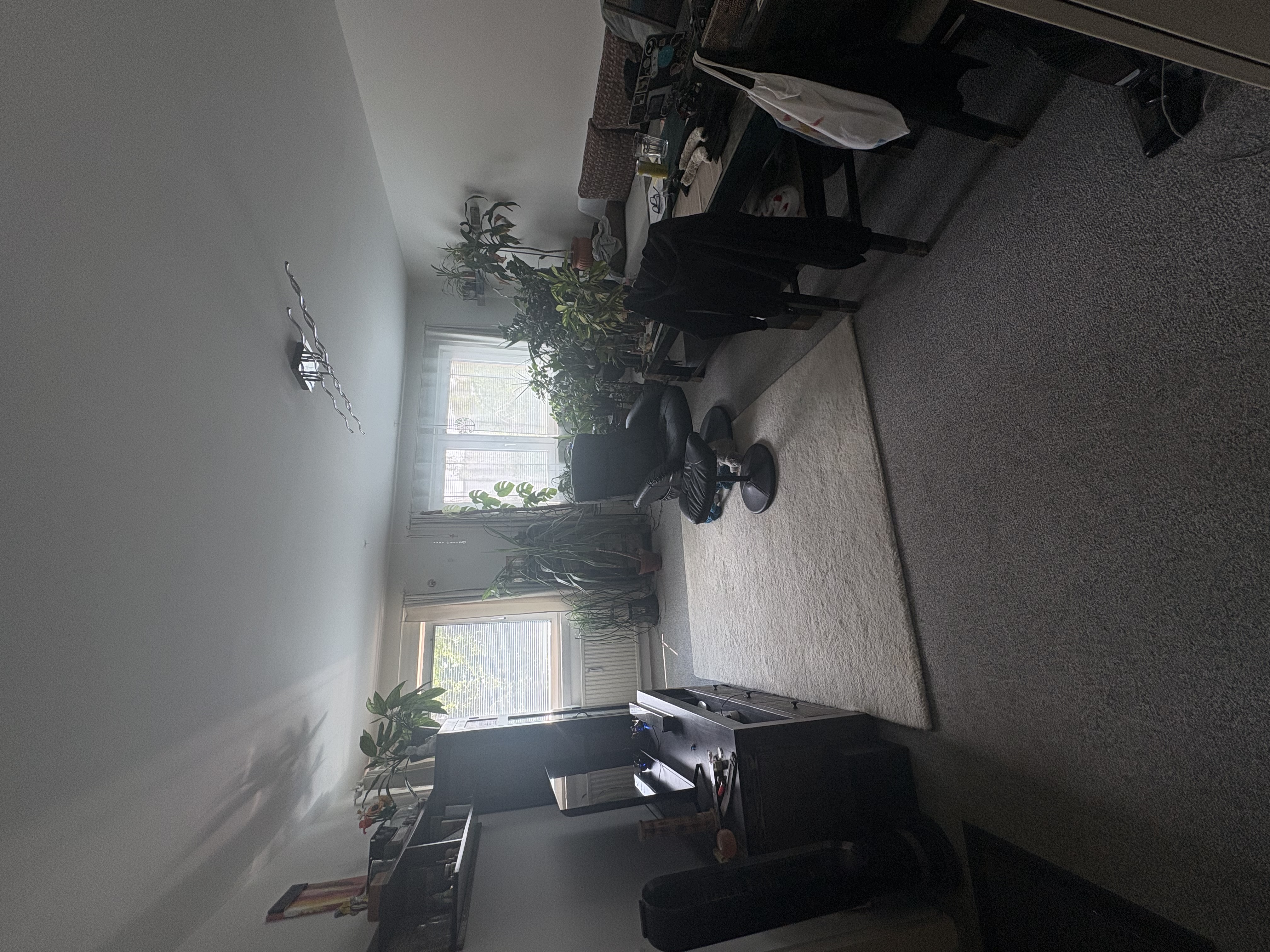 image-17