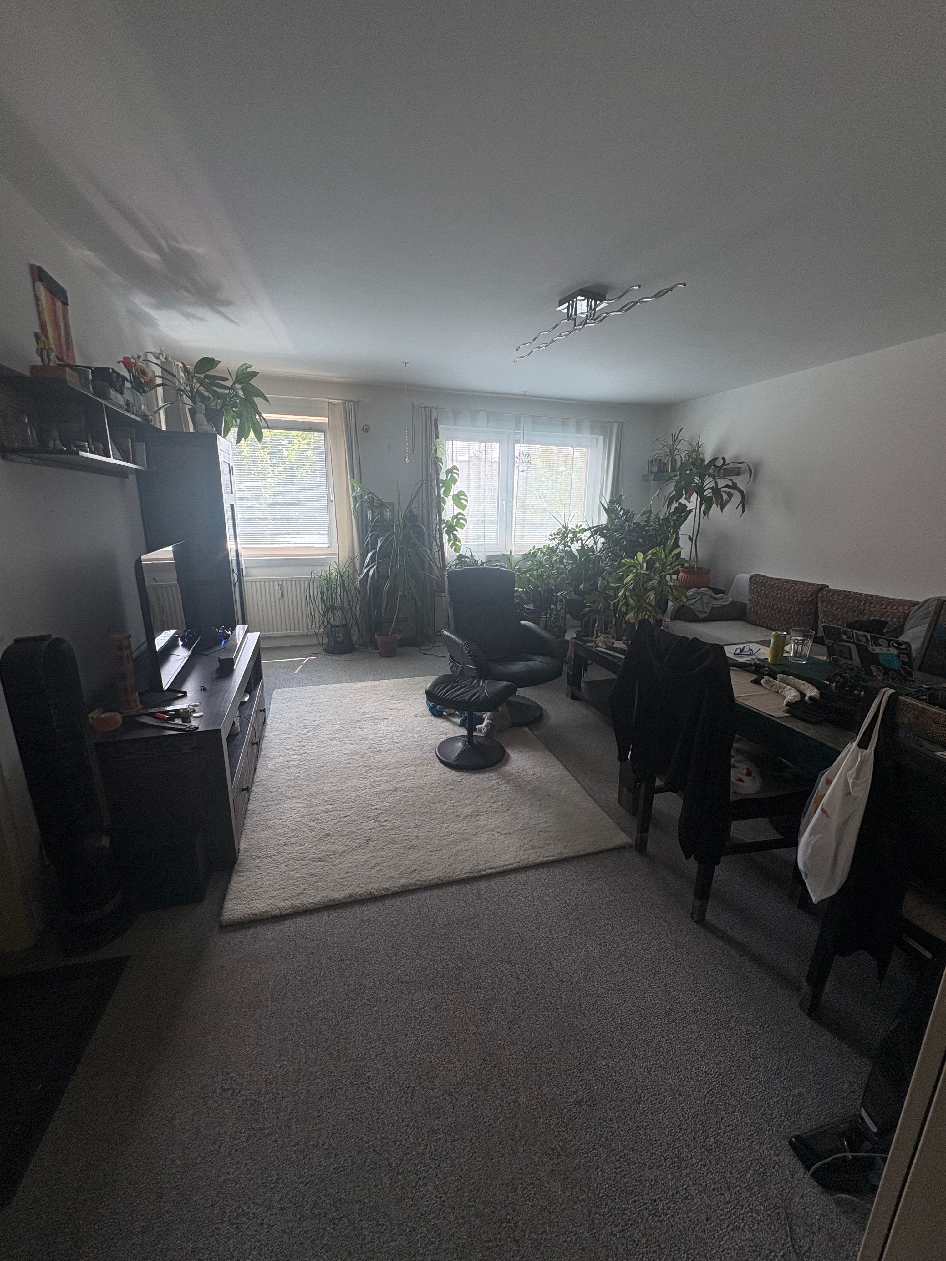 image-17