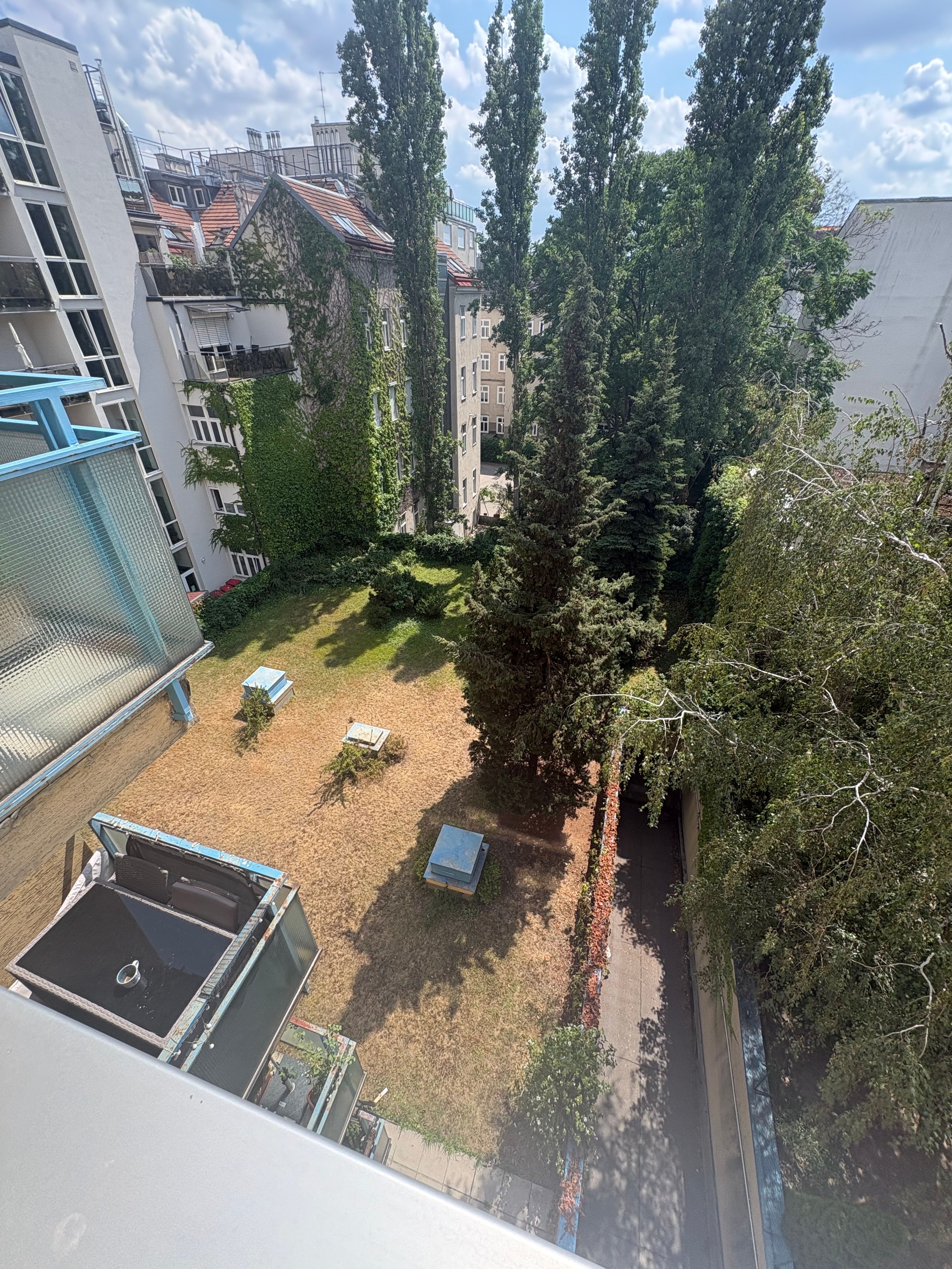 image-20