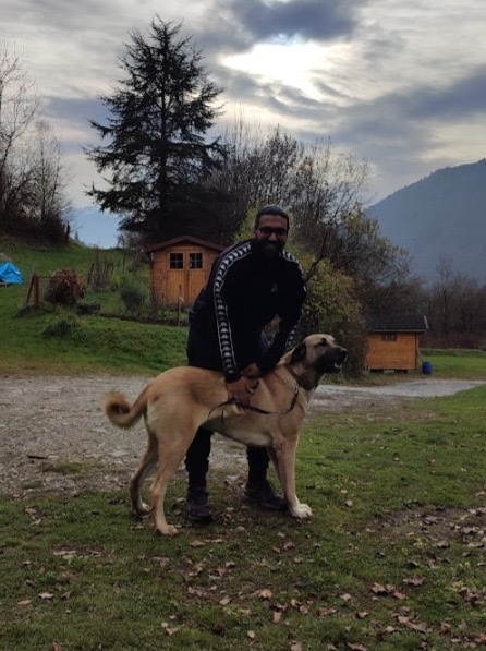 image-8