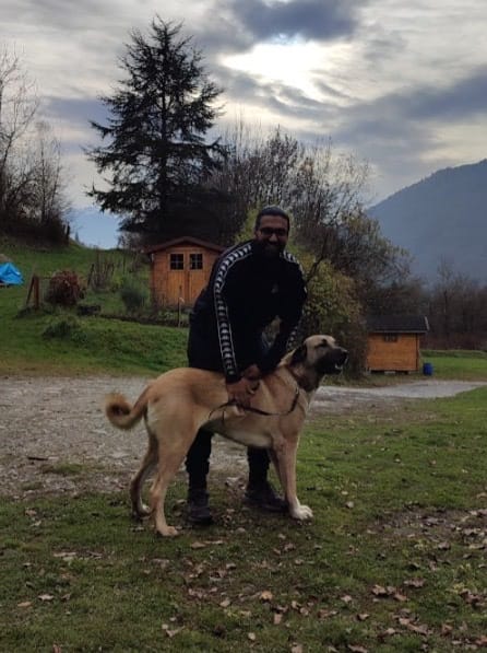 image-8