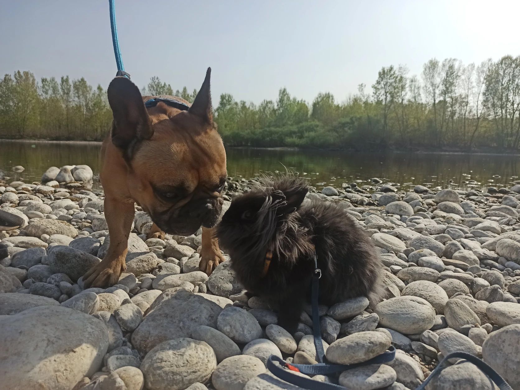 image-6