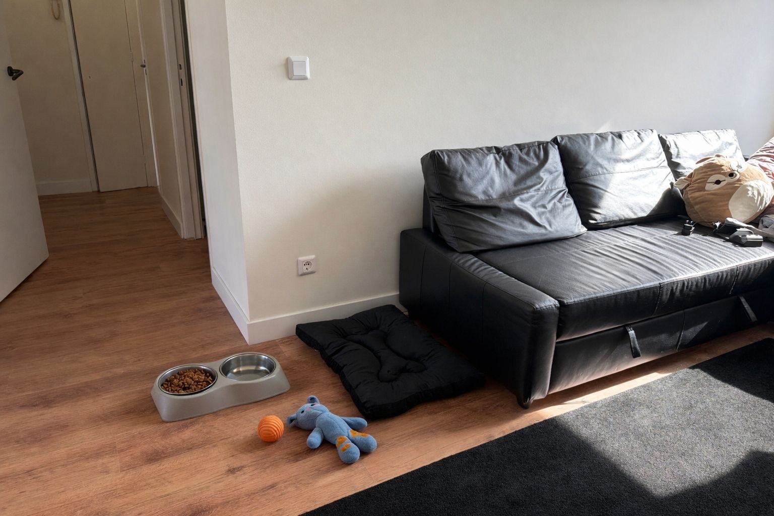 image-11