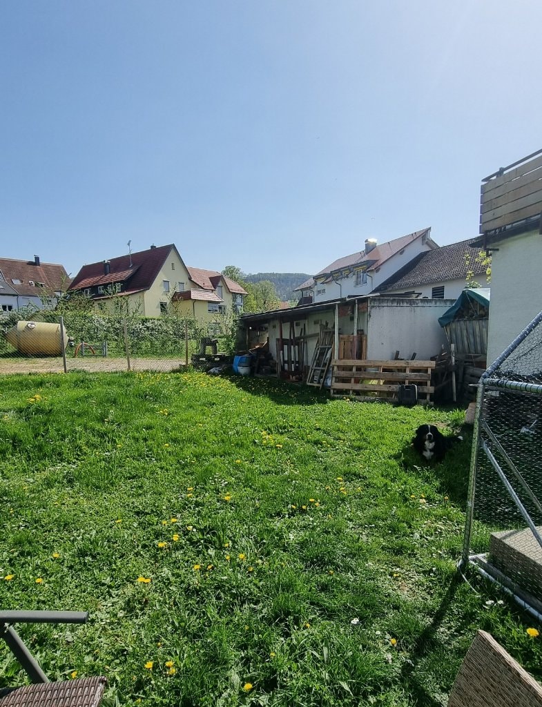 image-17