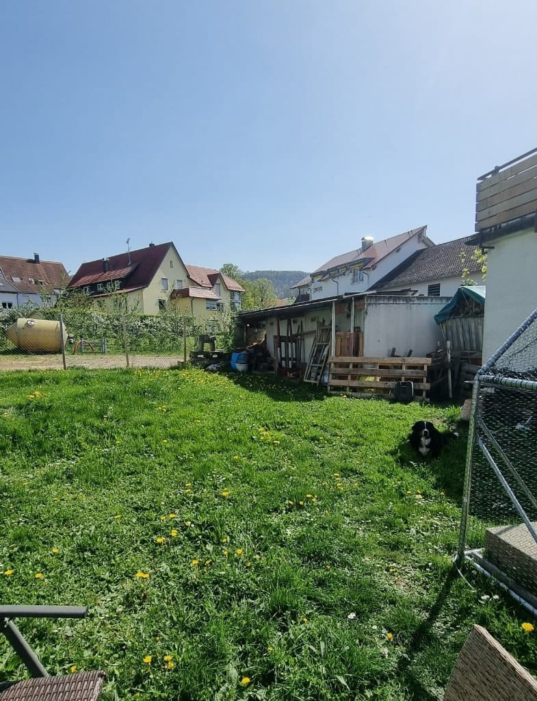 image-17
