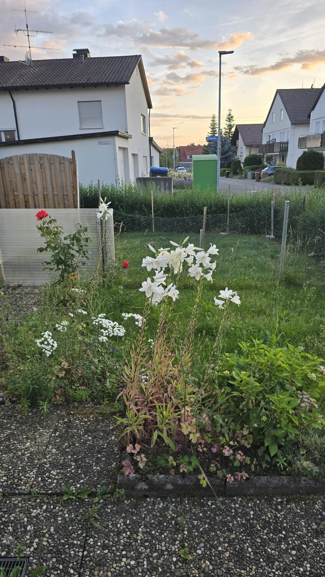 image-15