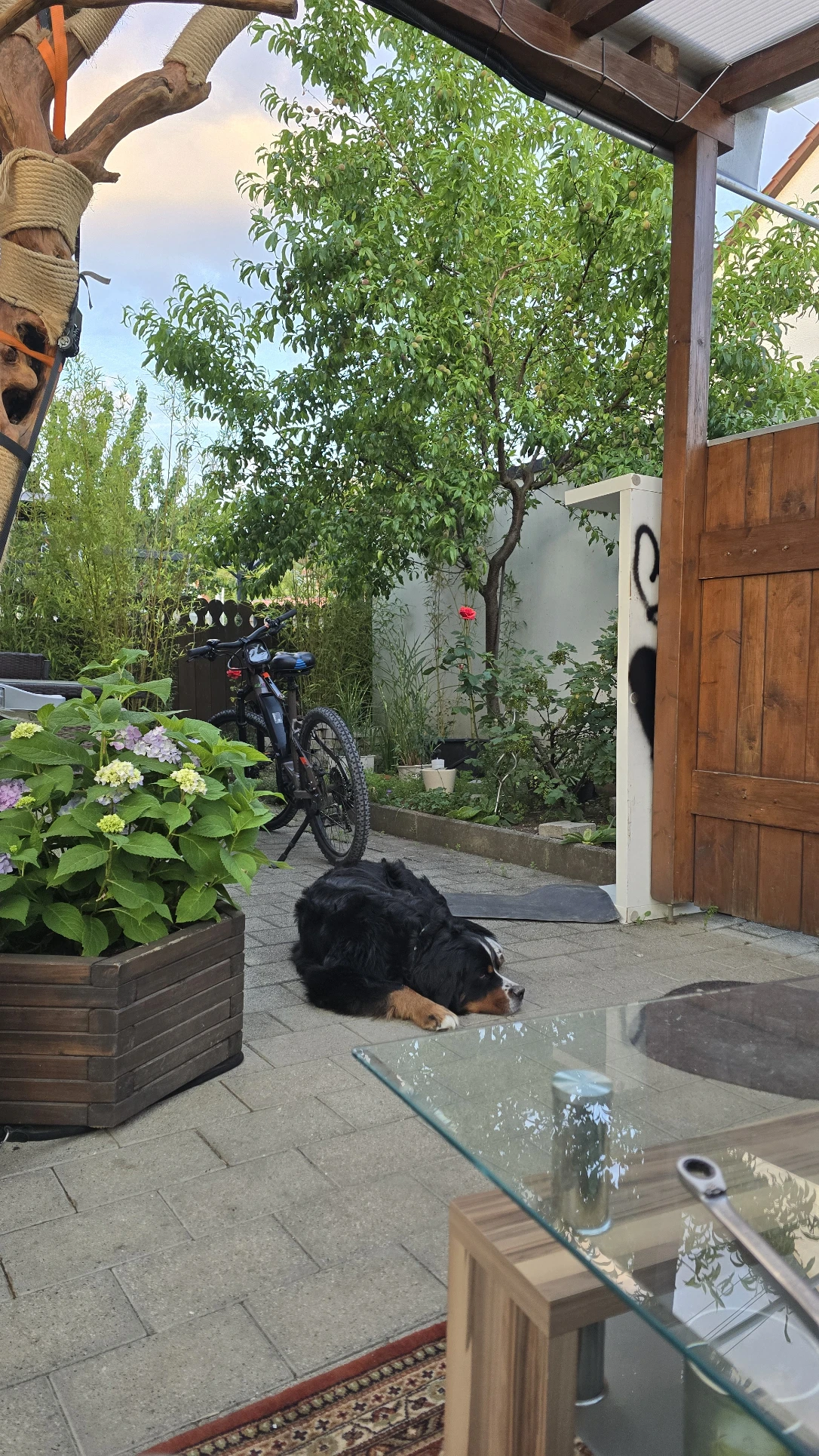 image-13