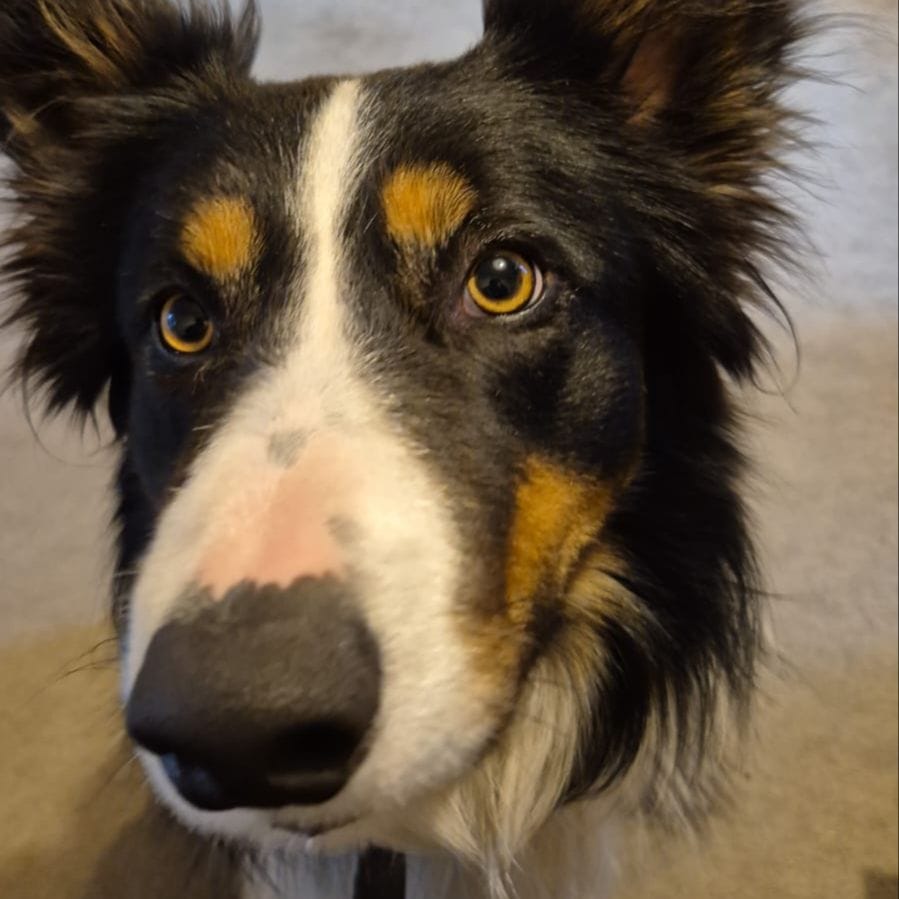 Sam