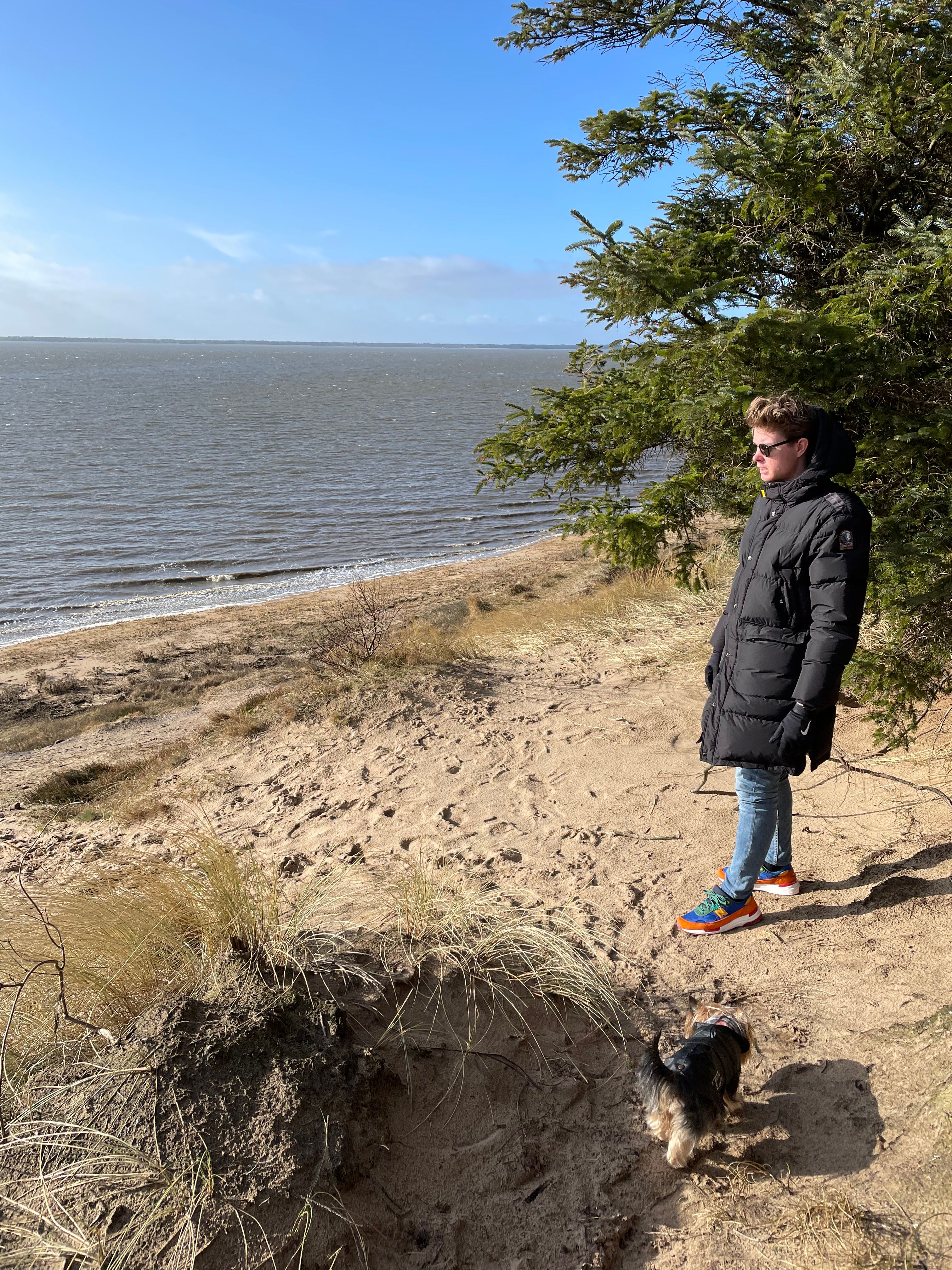 image-7