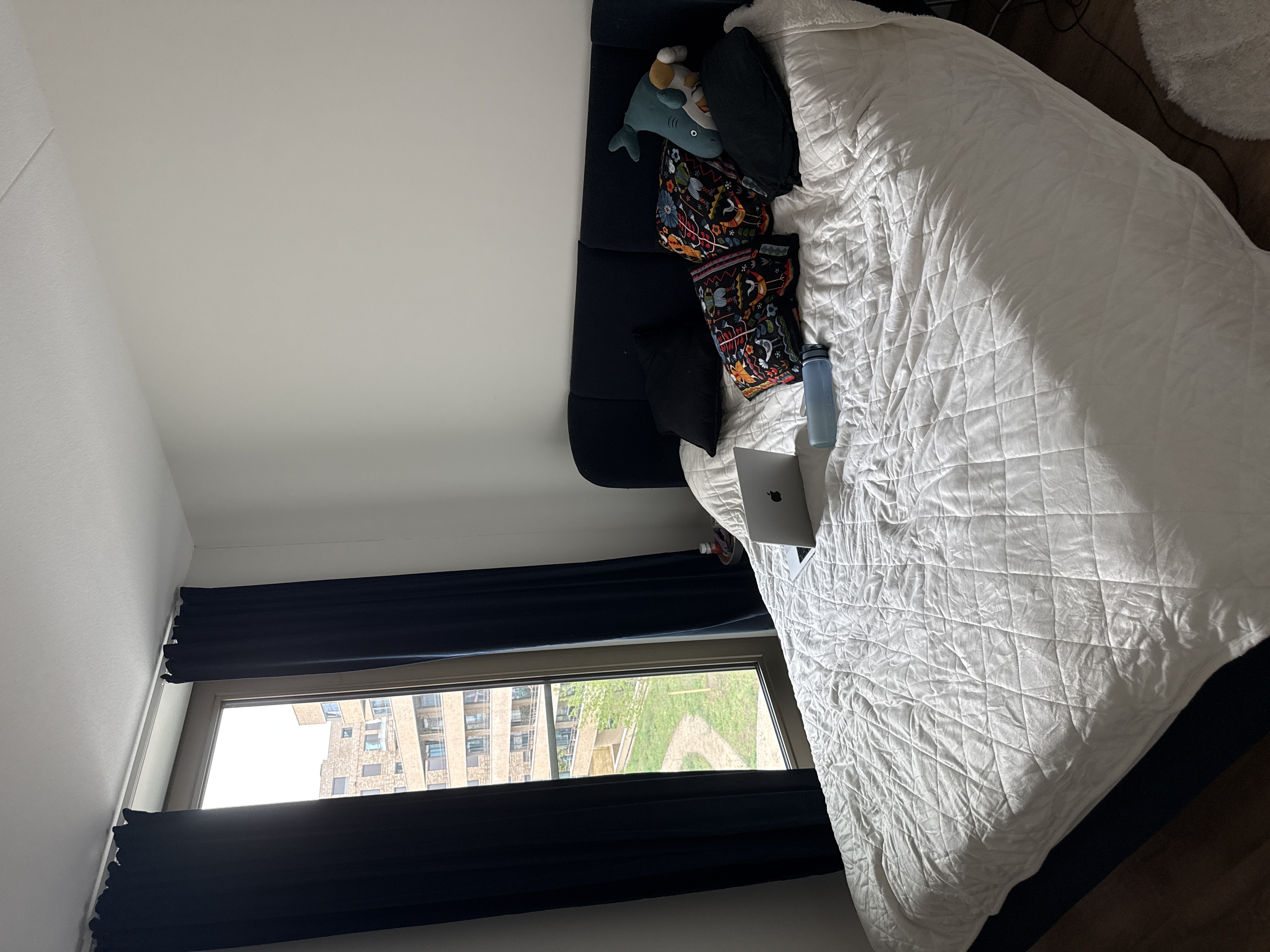 image-12