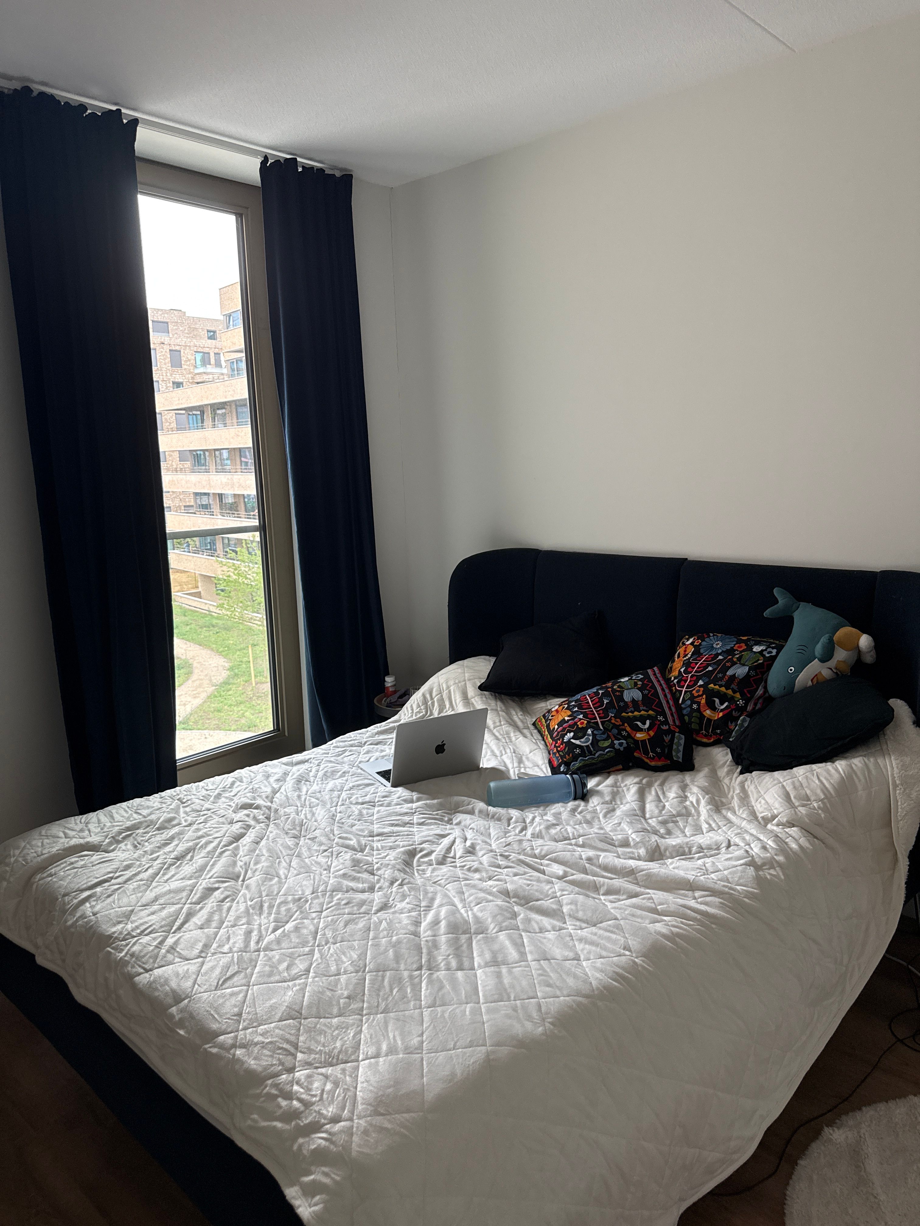 image-12