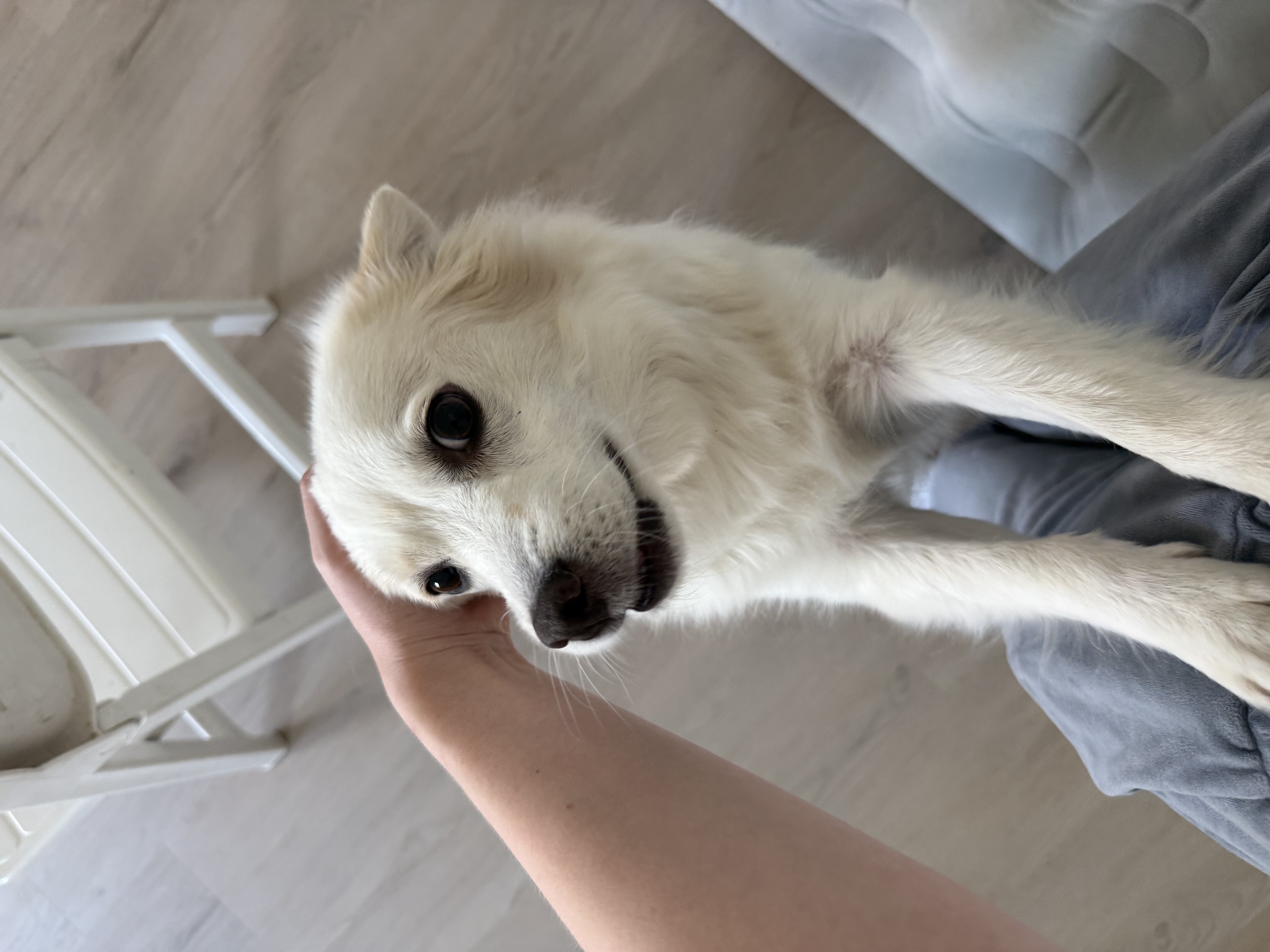 image-8
