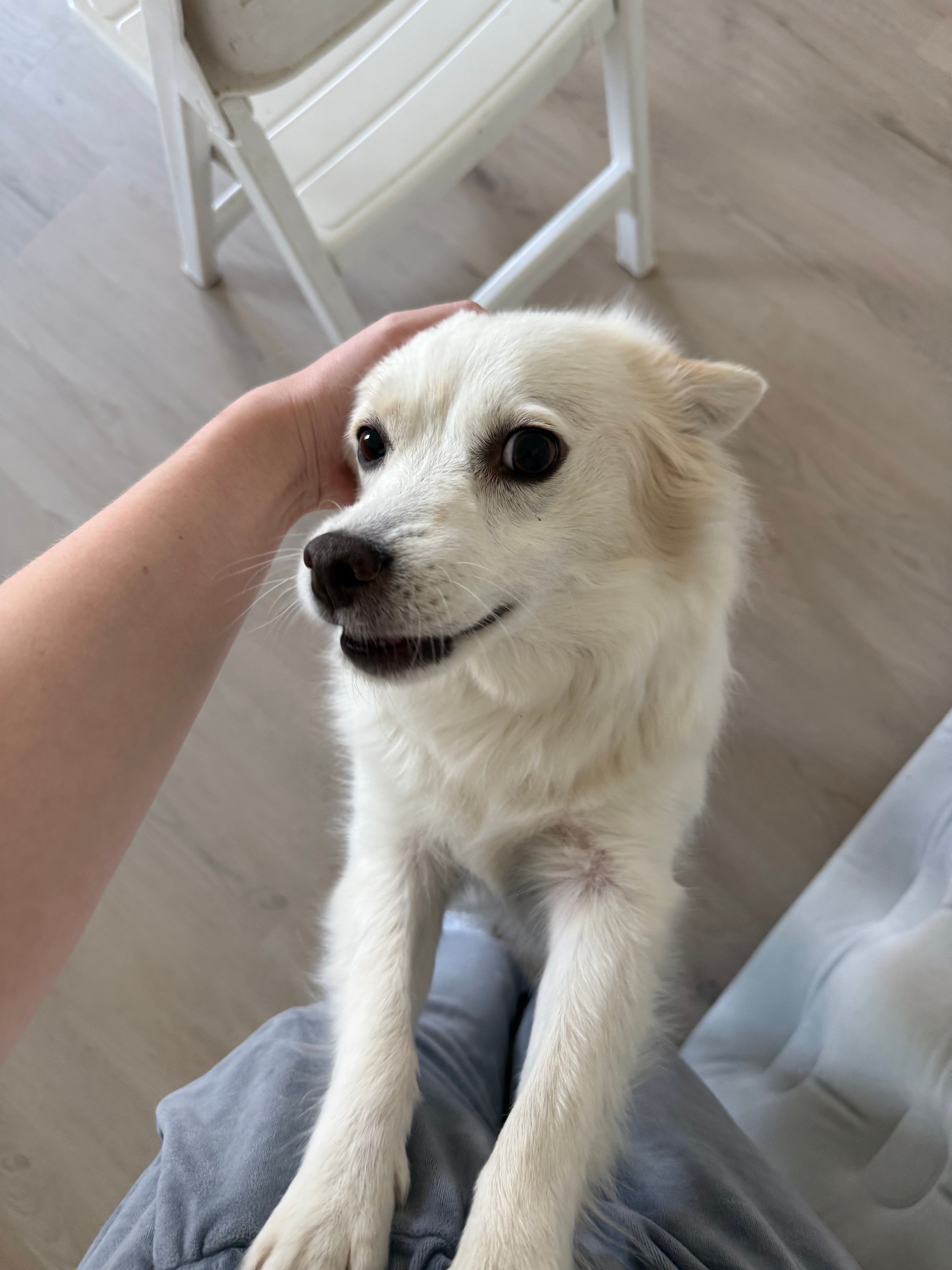 image-8