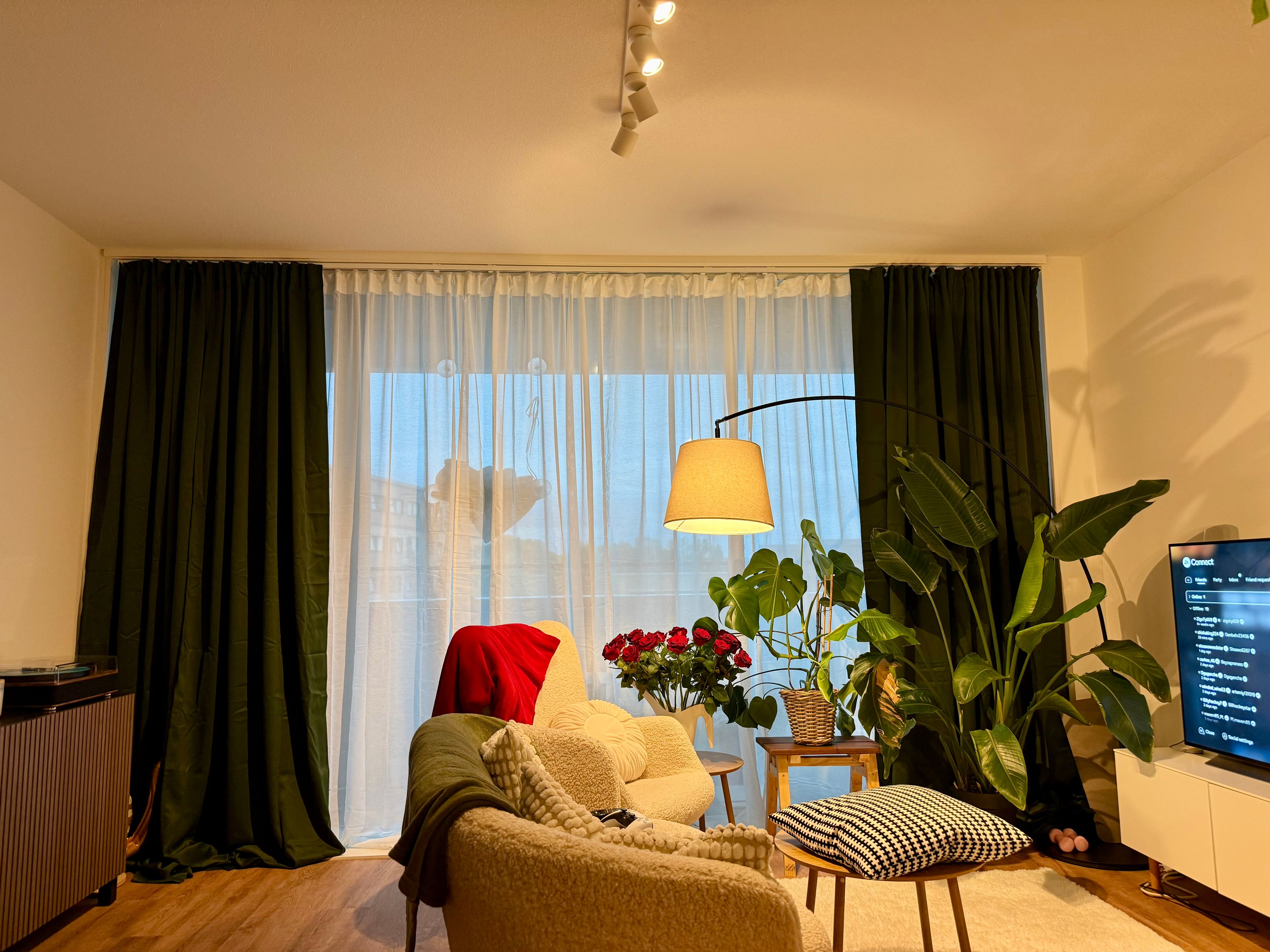 image-11