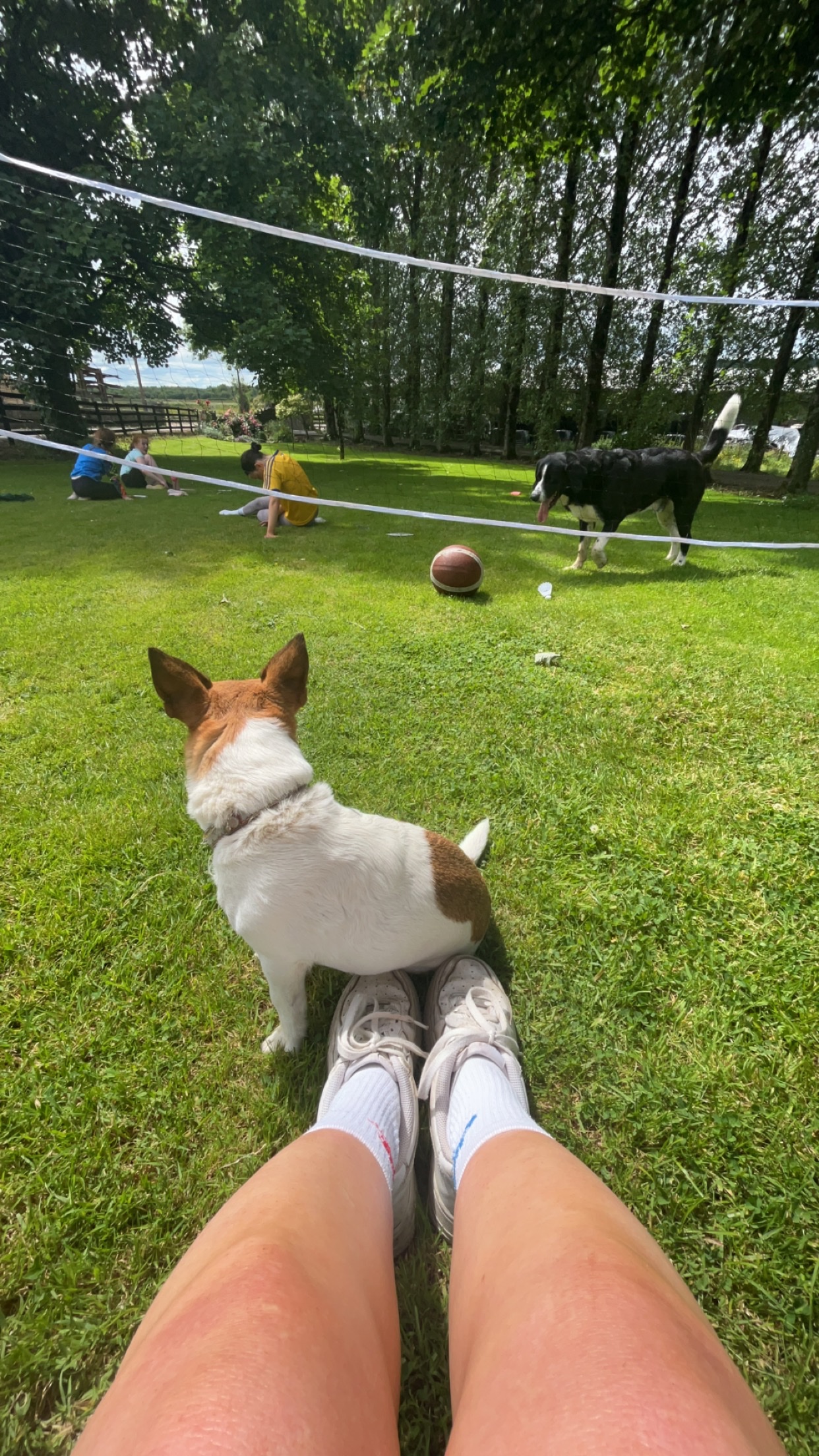 image-8
