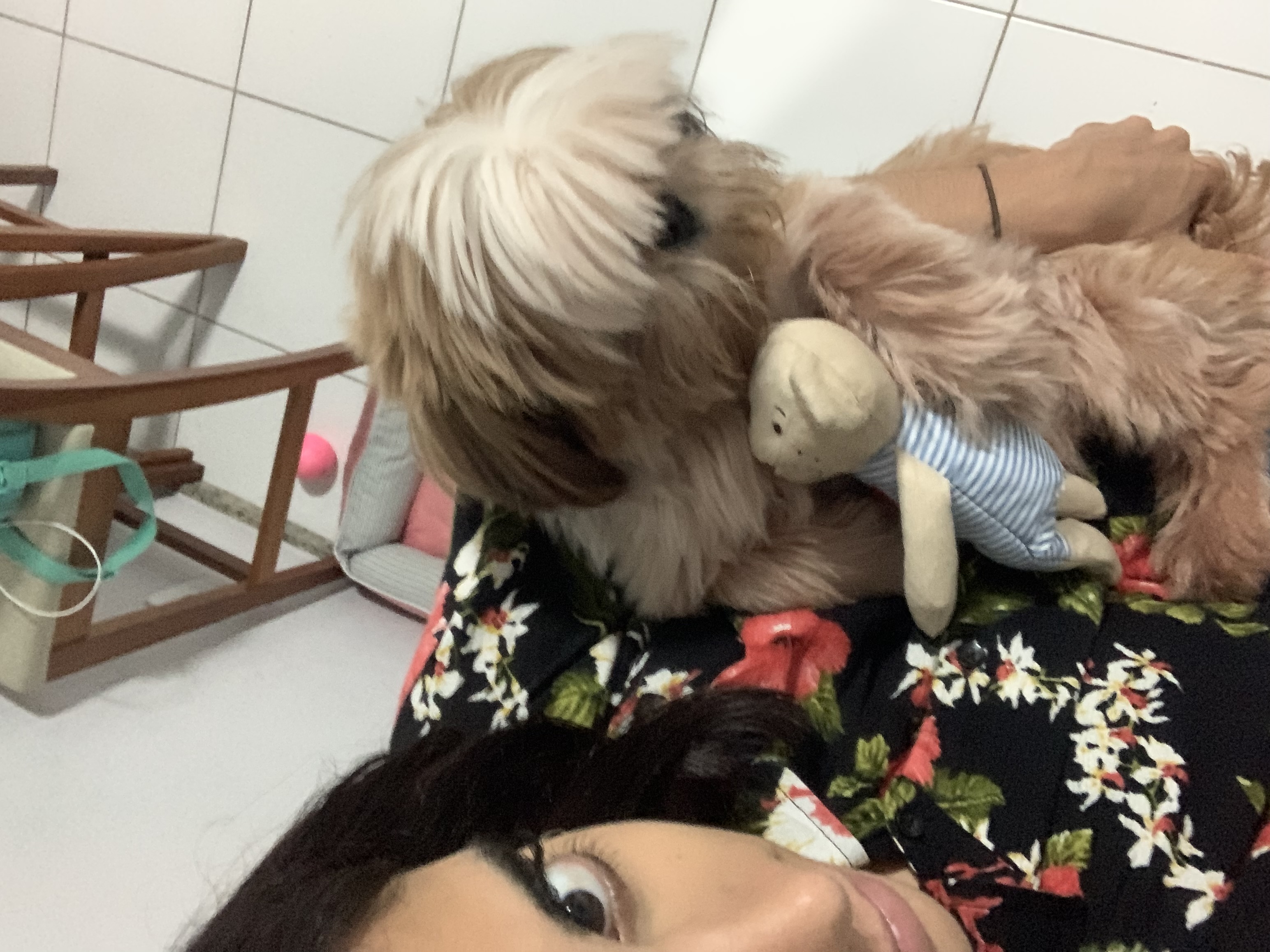 image-6
