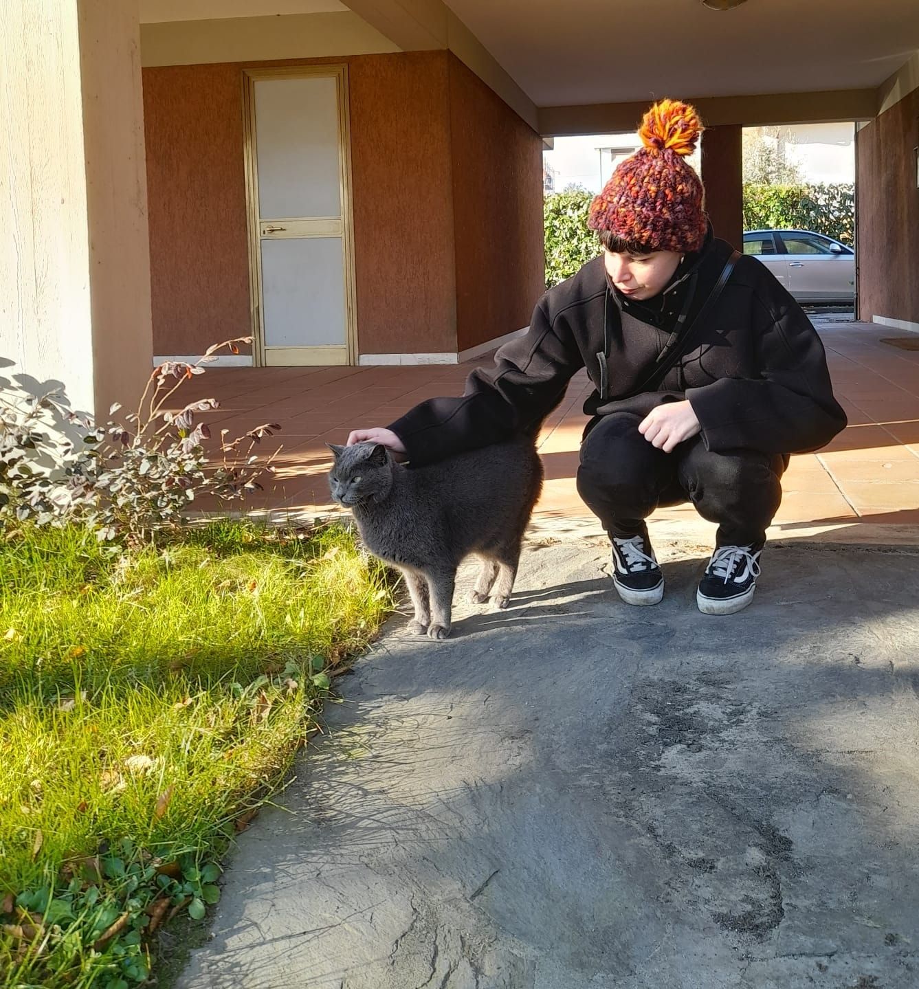 image-6
