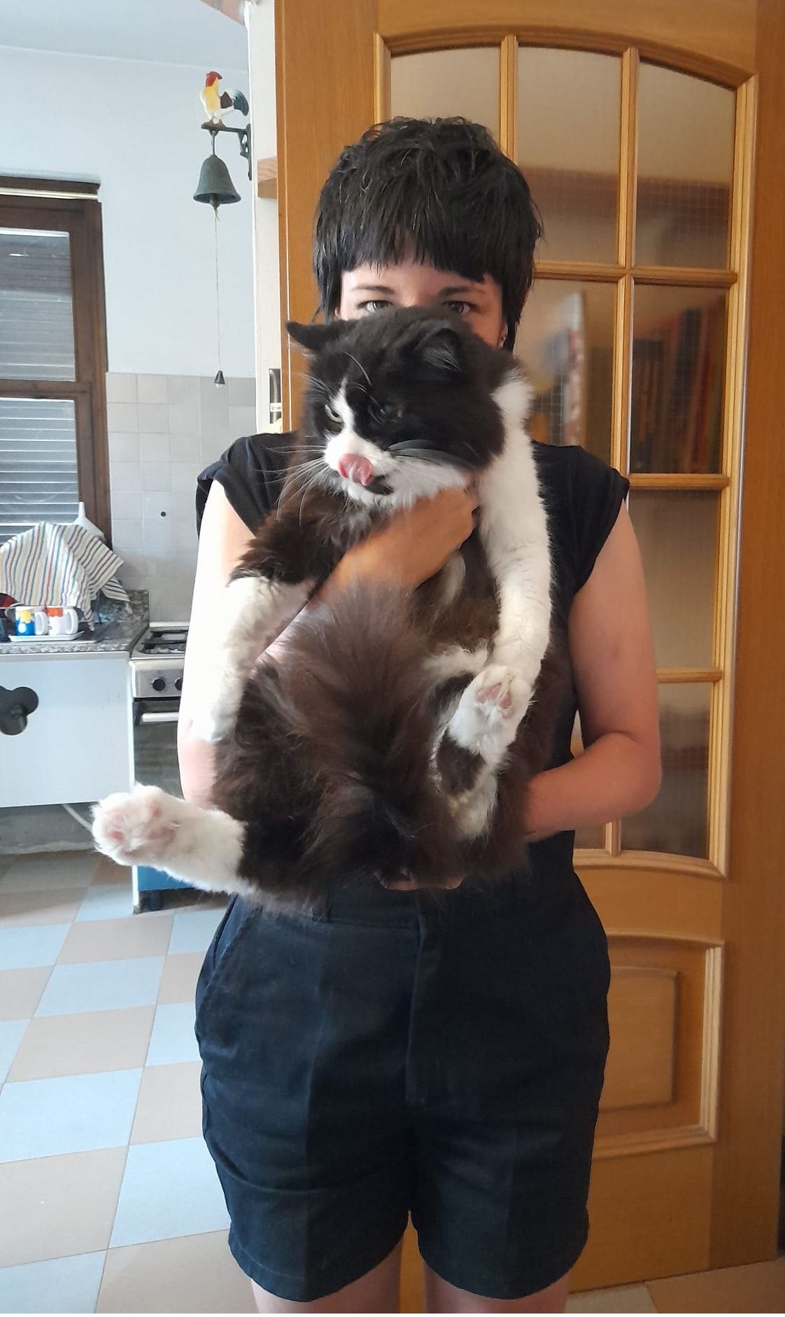 image-8