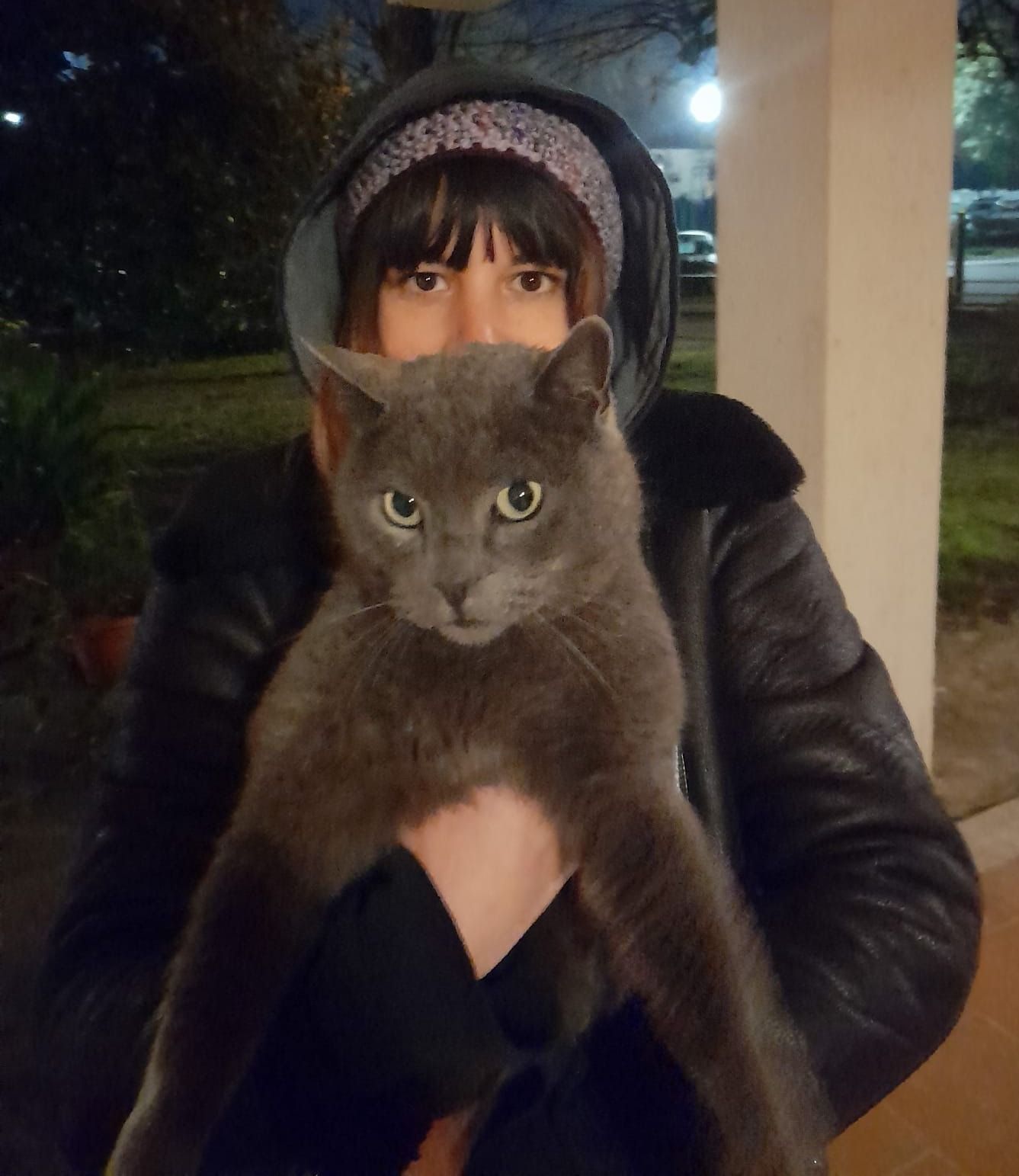 image-5