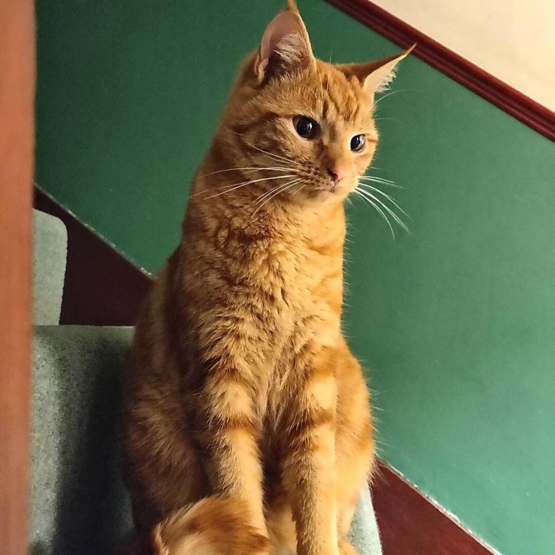 Sam