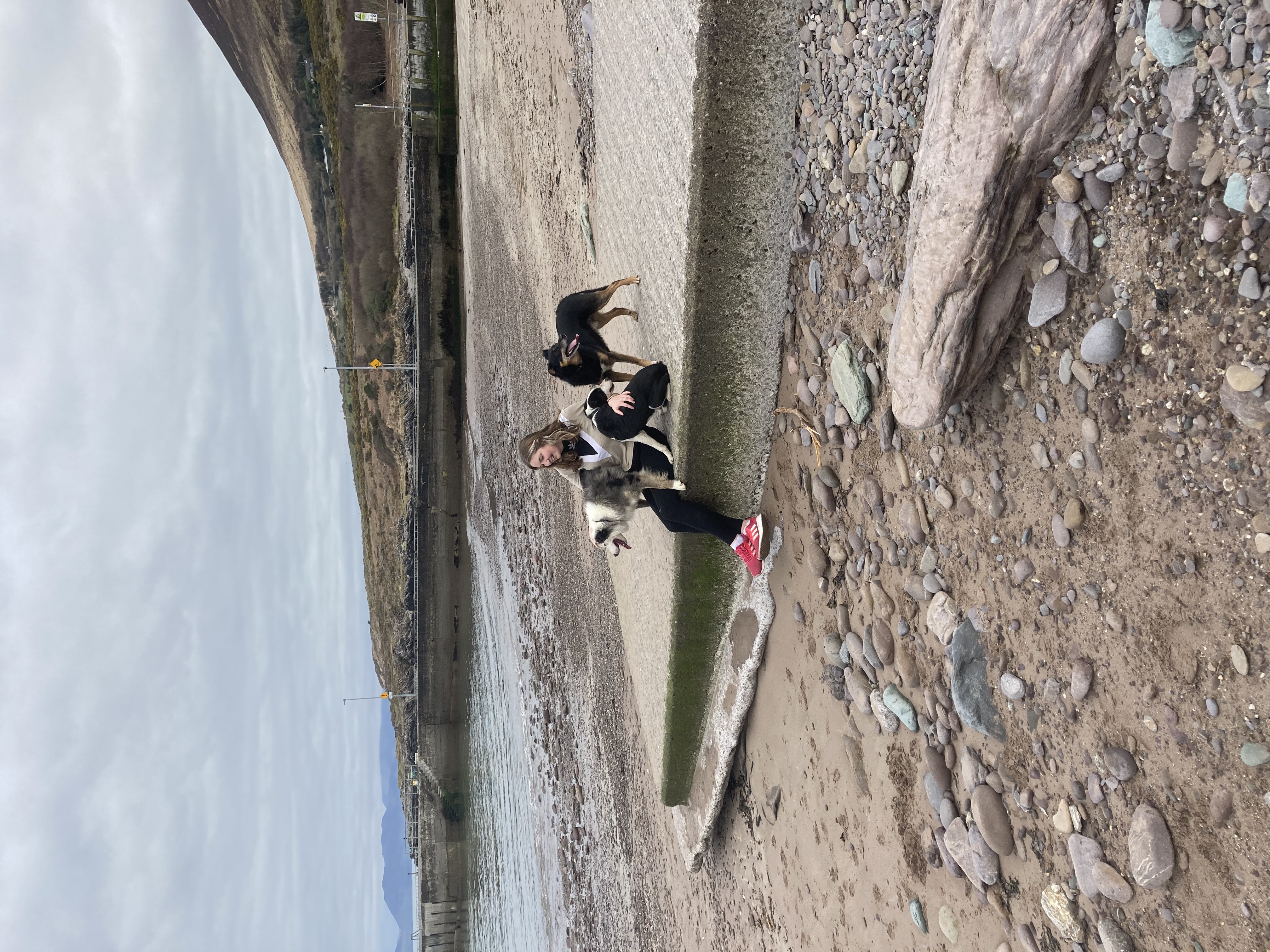 image-9