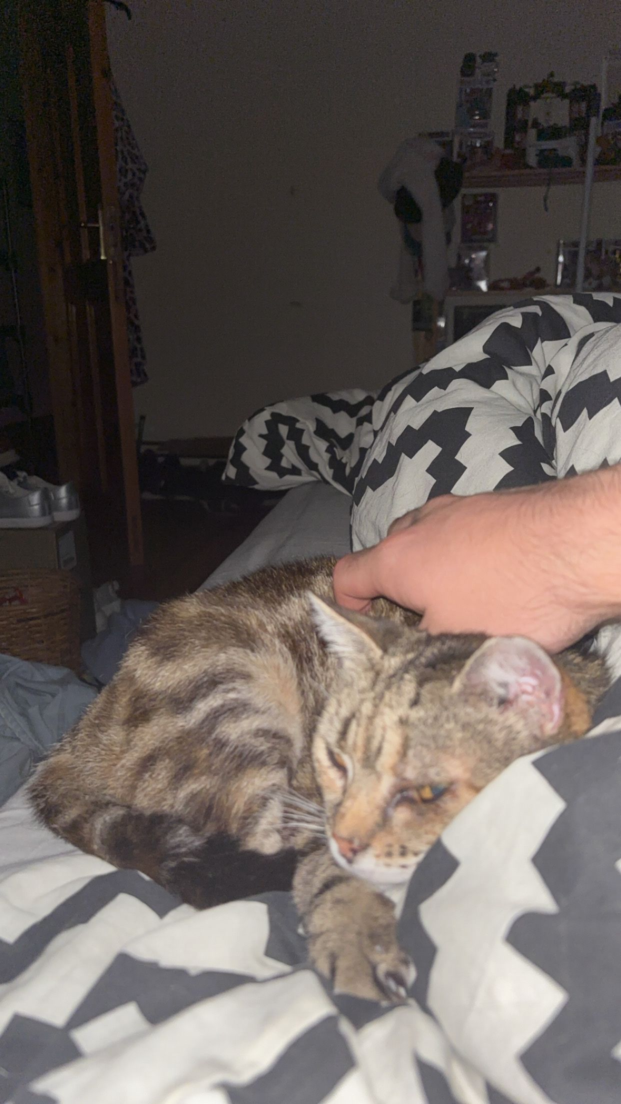image-7