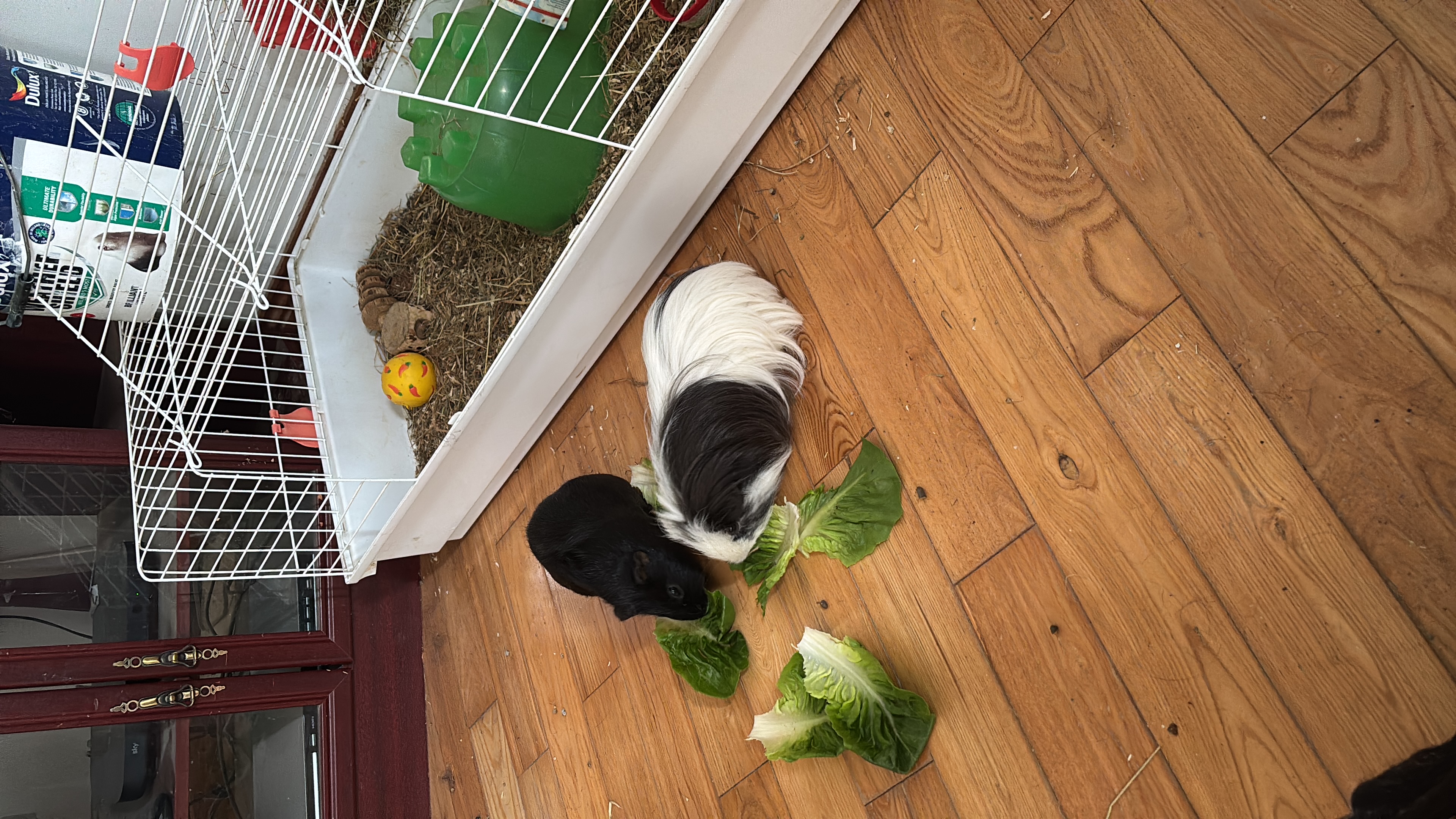 image-8