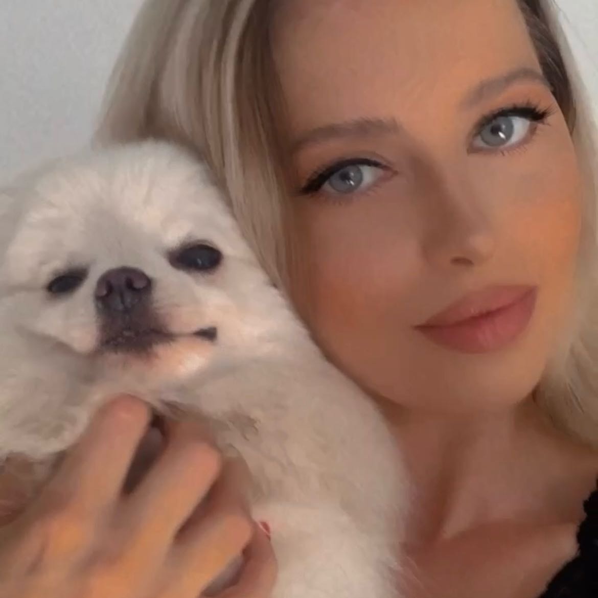 Maja