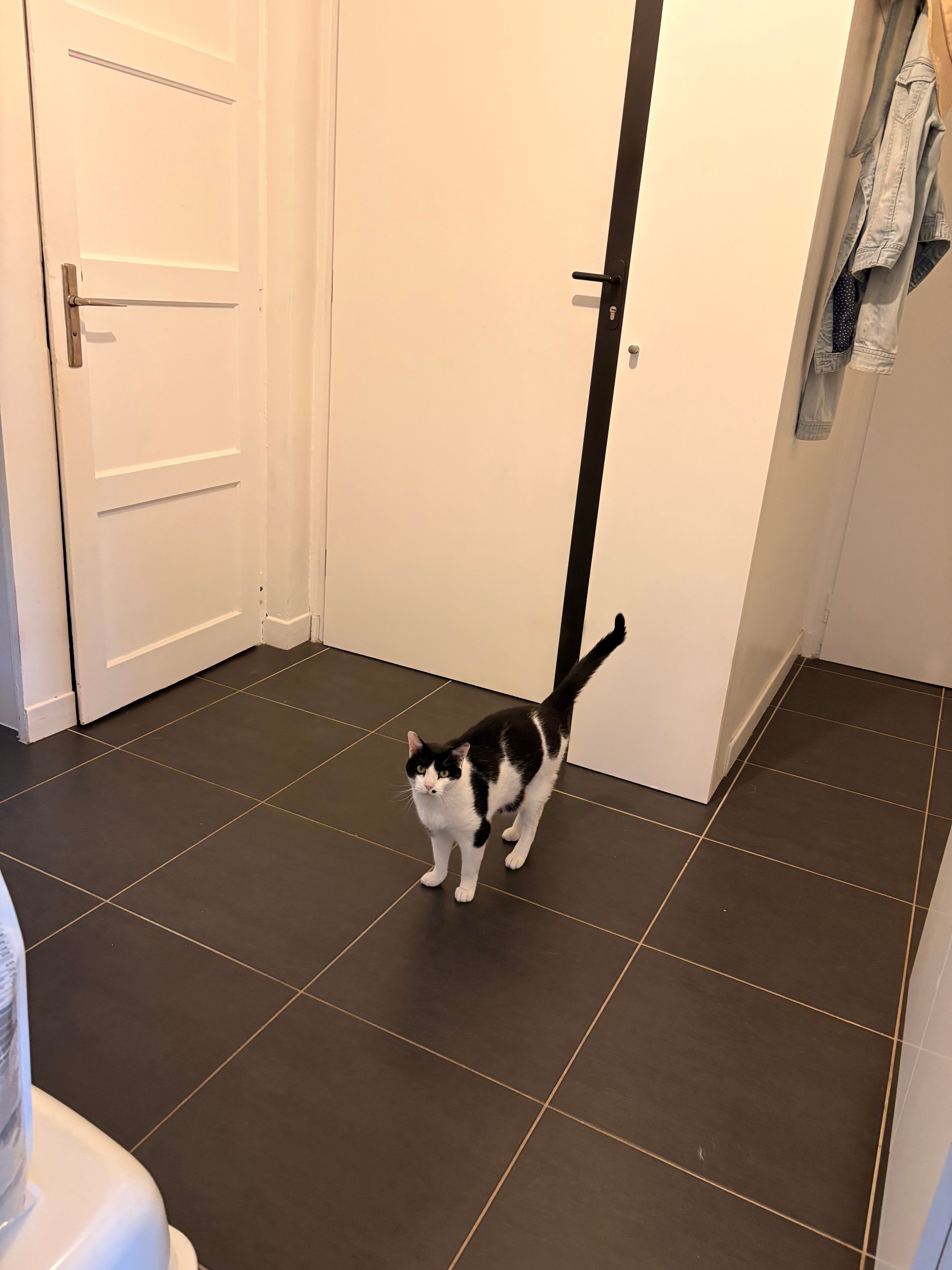 image-14
