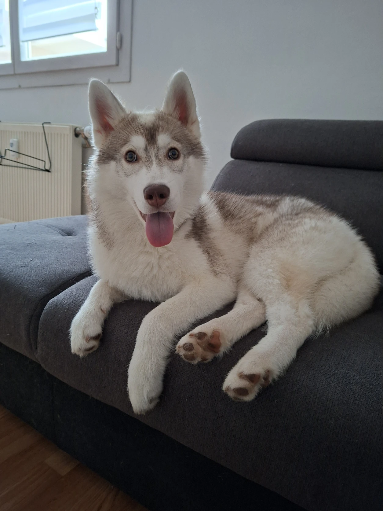 image-7
