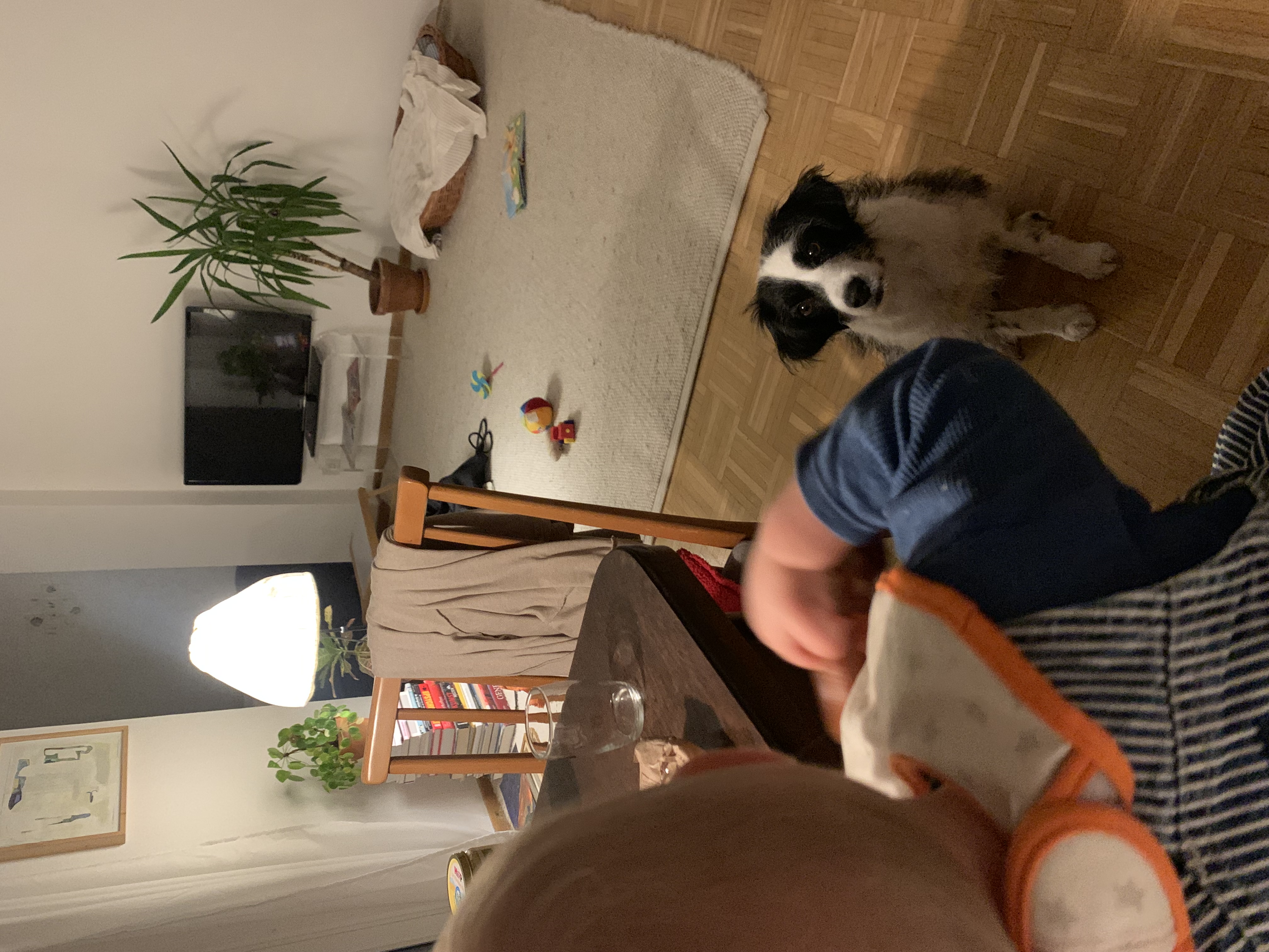 image-7