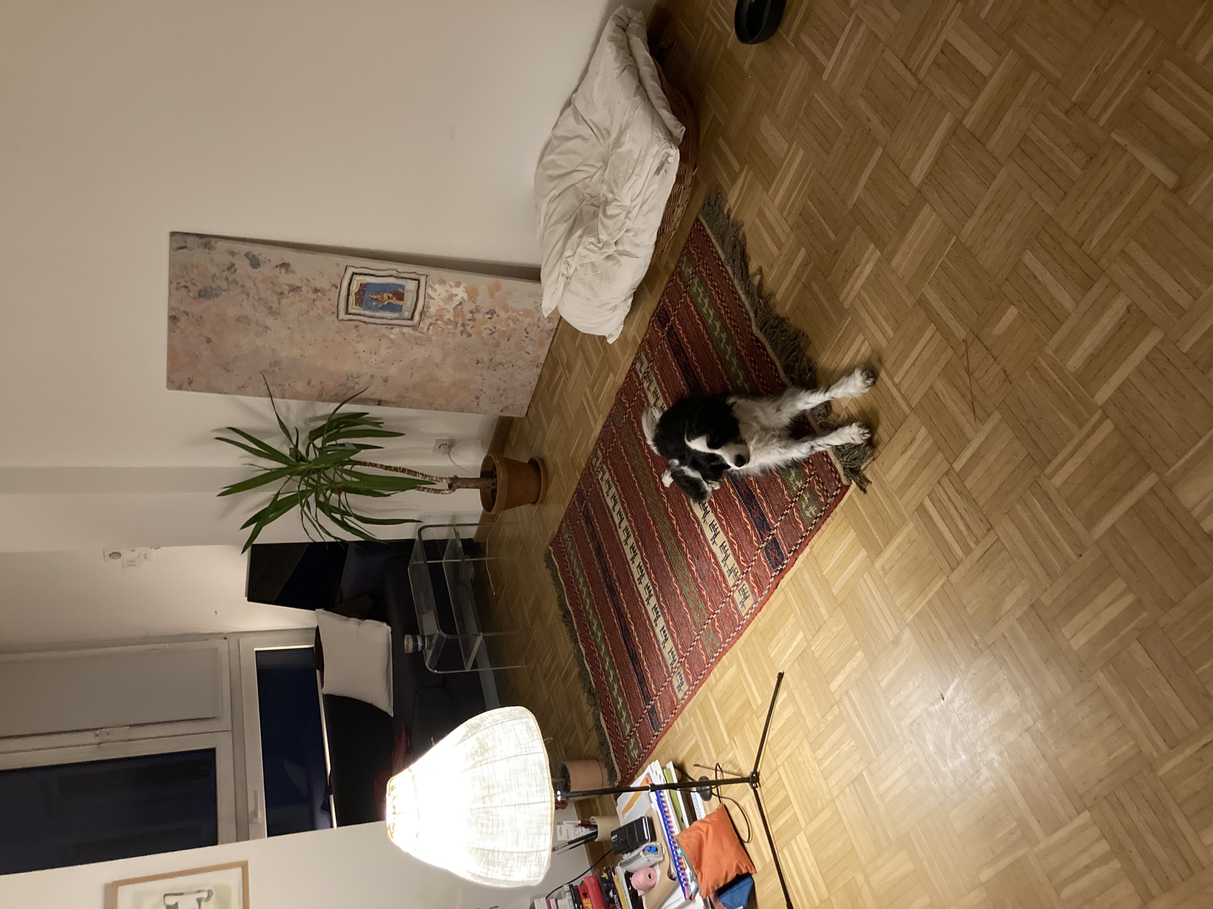image-8