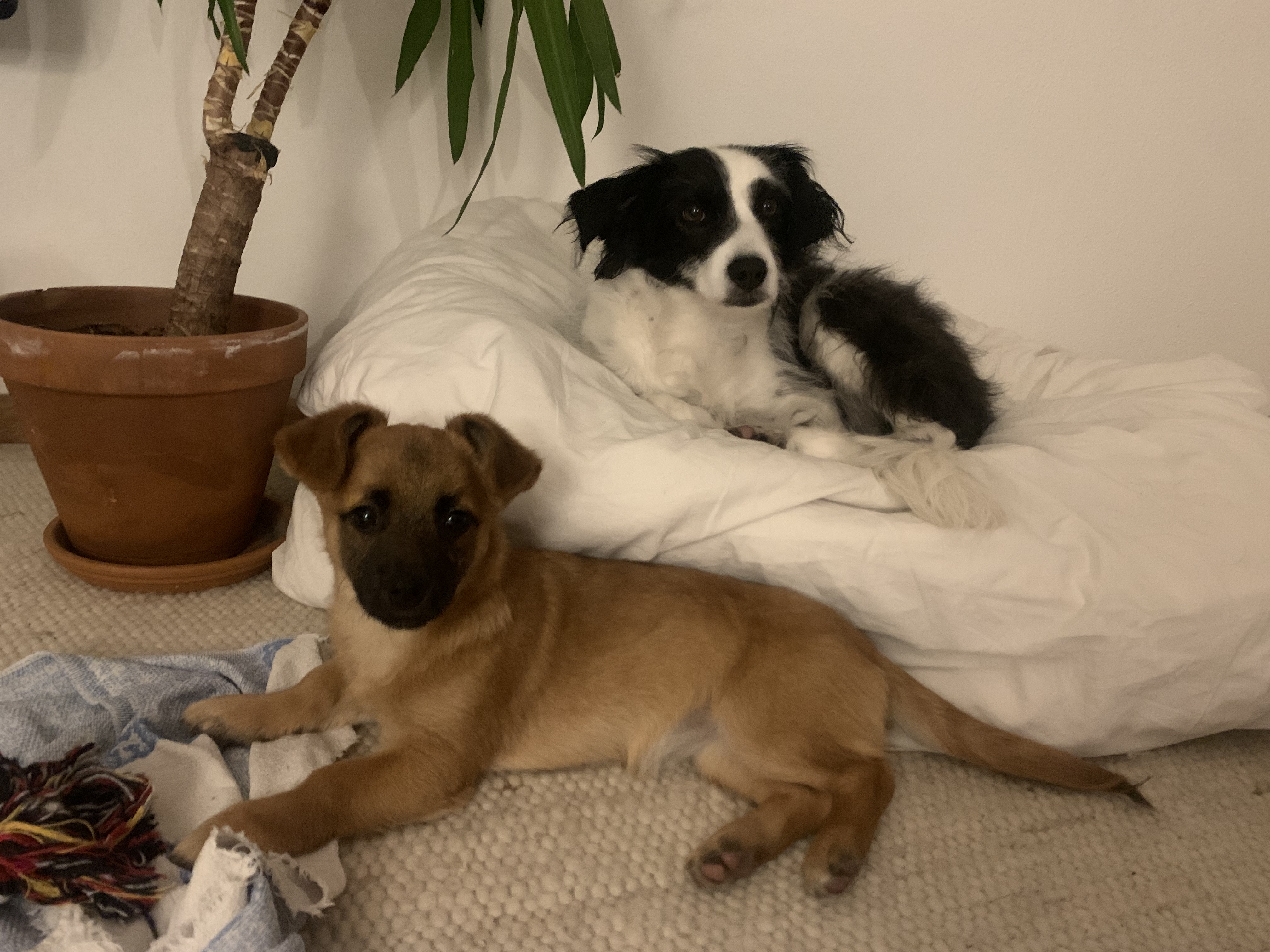 image-6