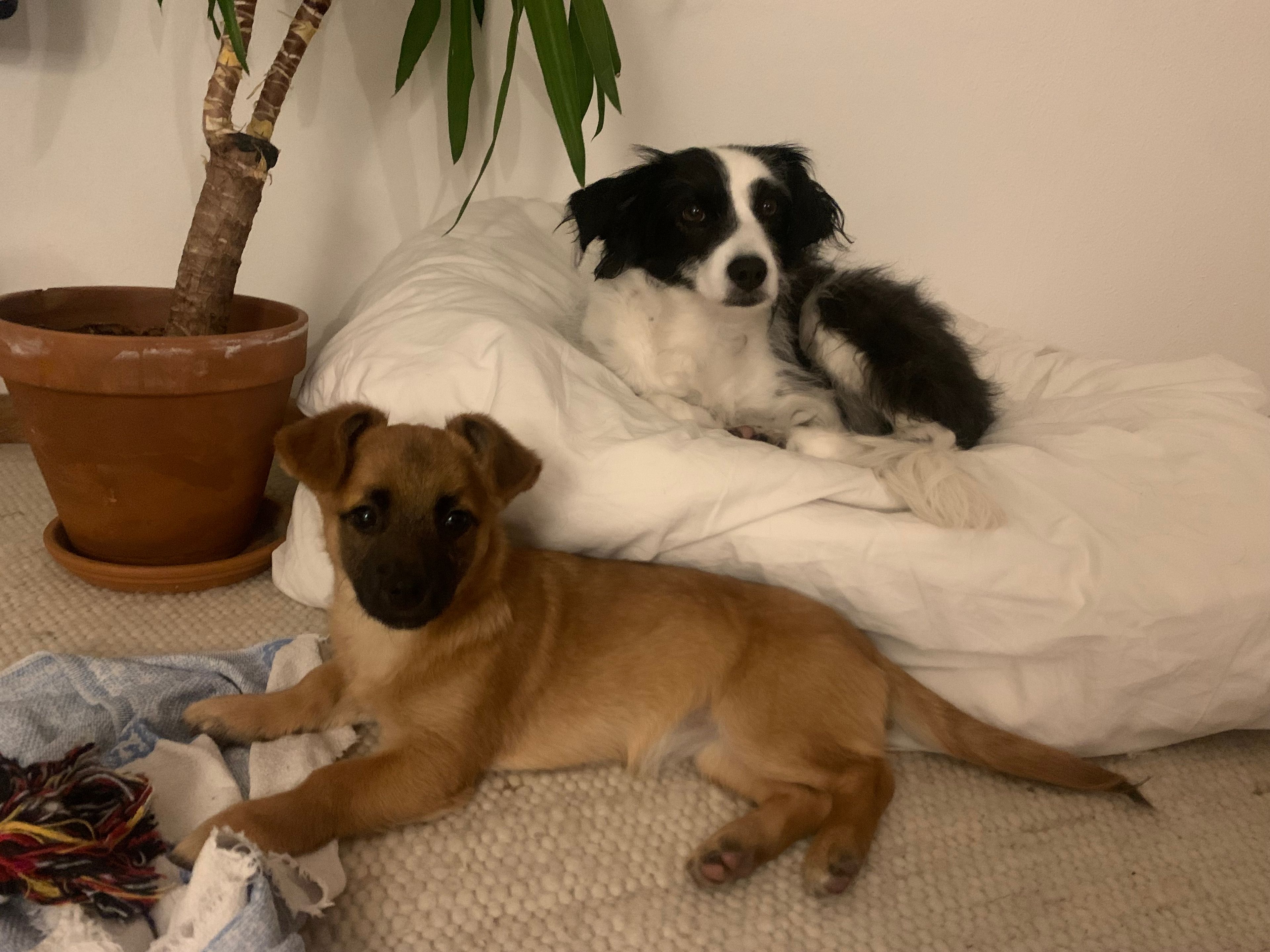 image-6