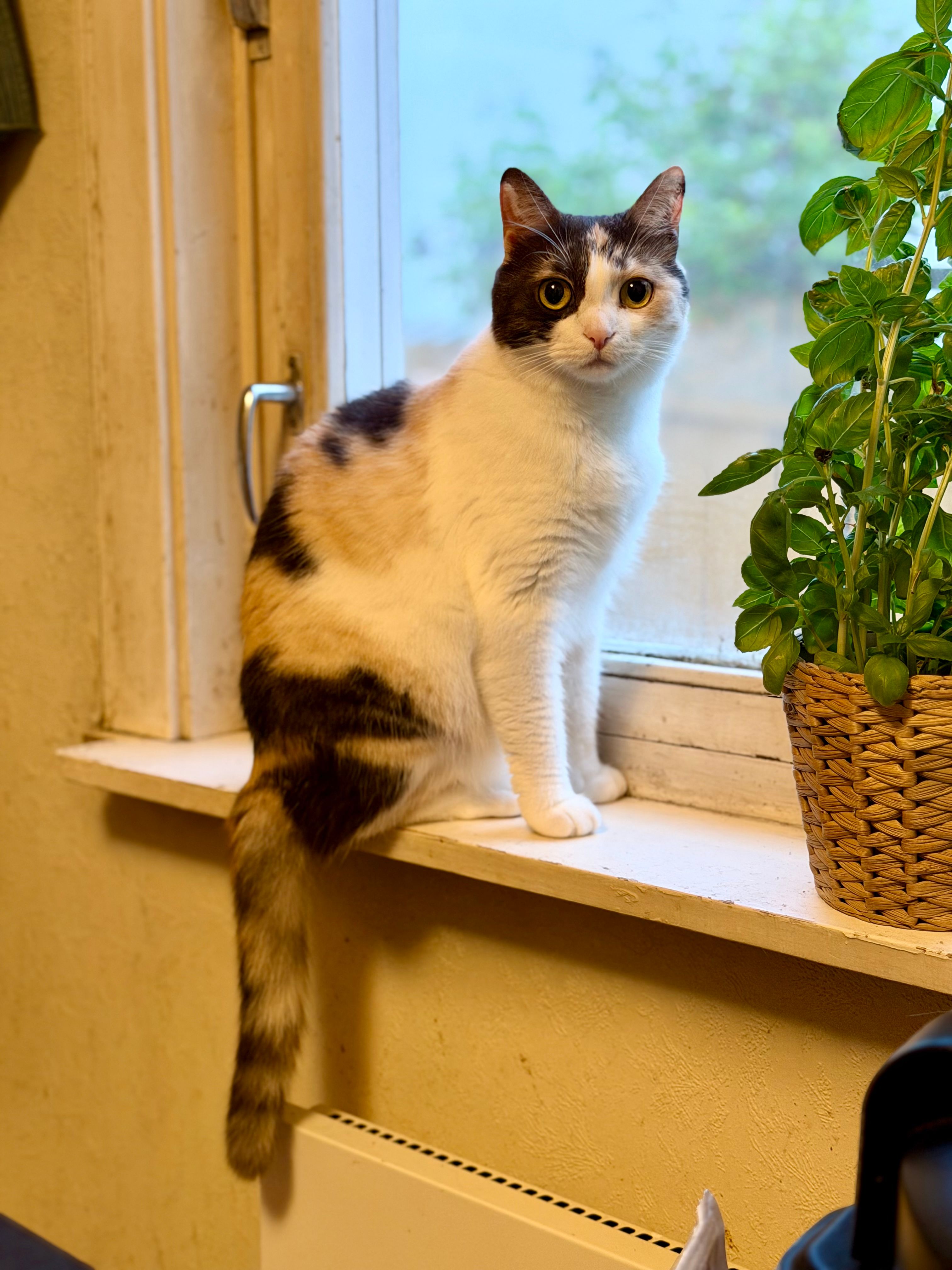 image-13