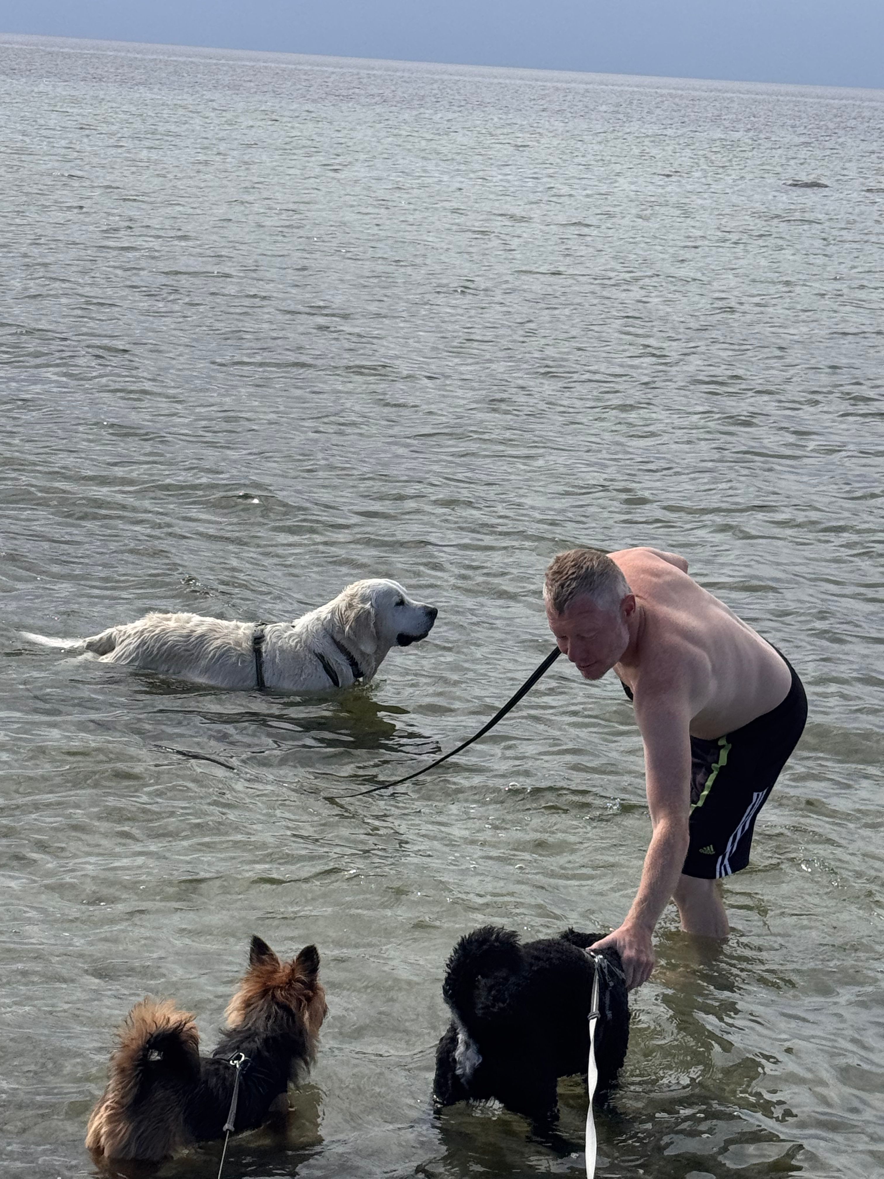 image-47