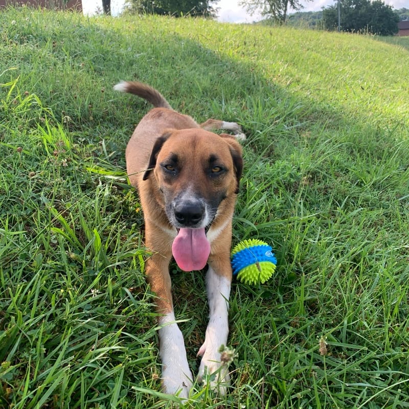 Lorenzo