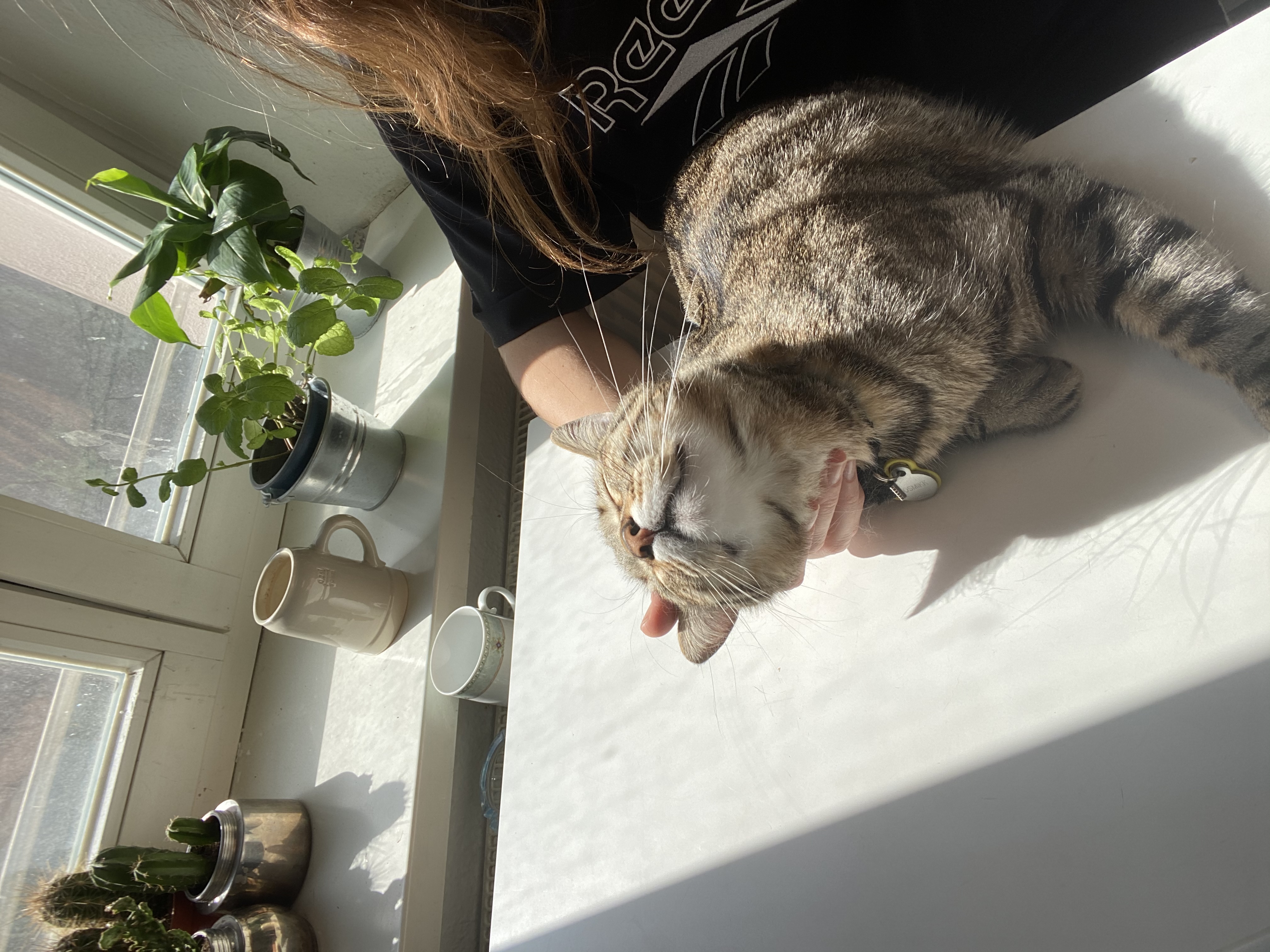image-7