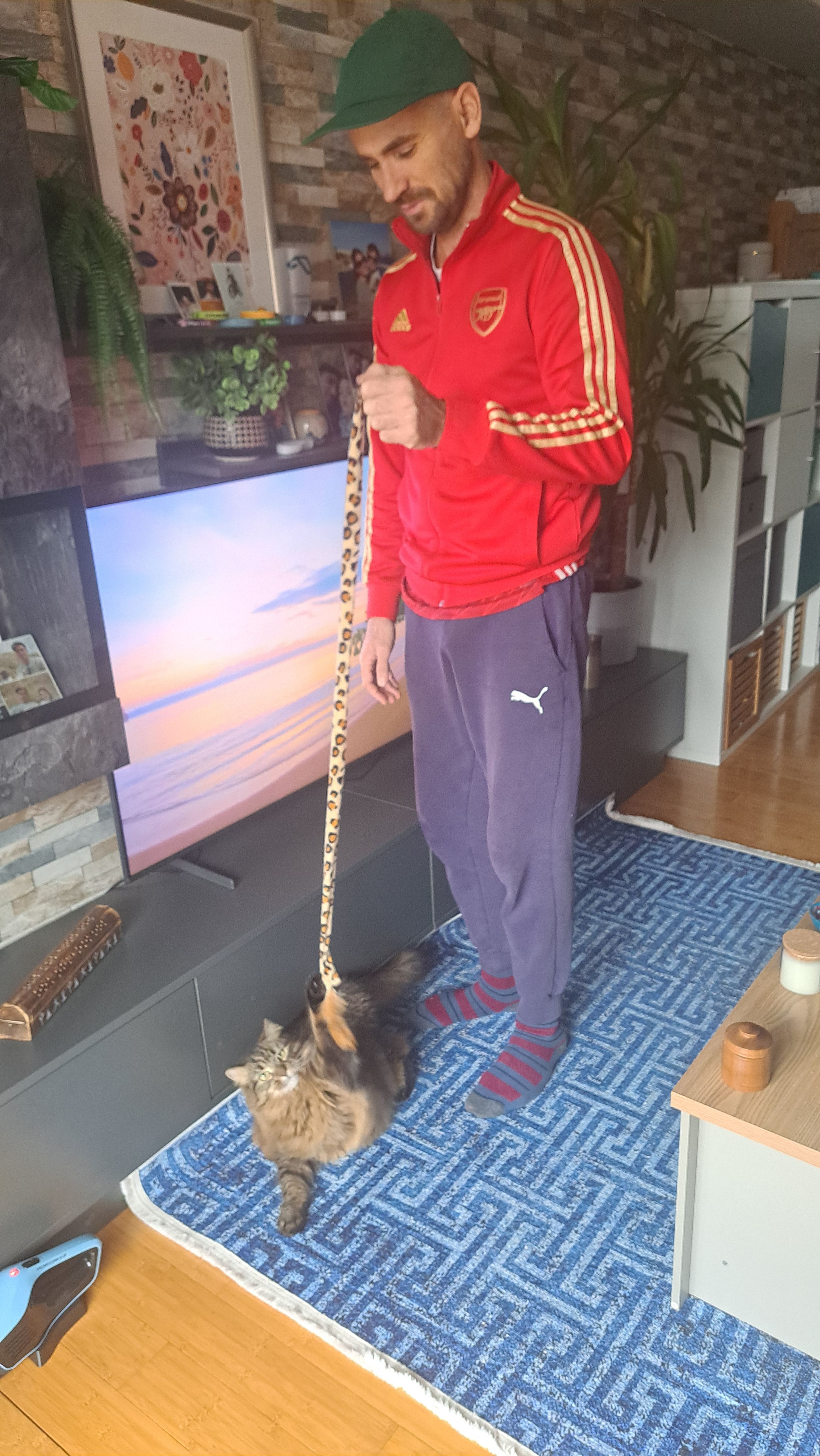 image-8